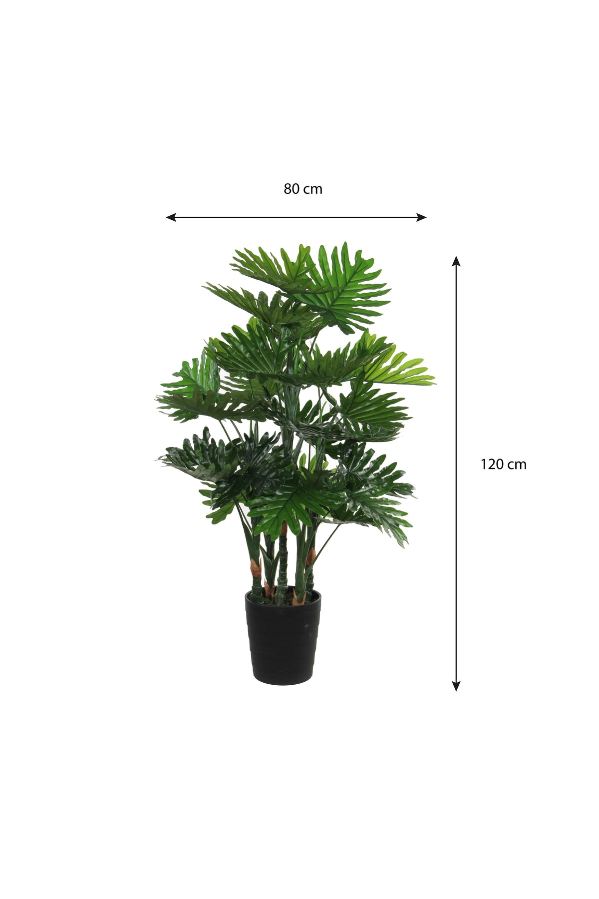 Philodendron In Plastic Pot Green - H120Xd80Cm