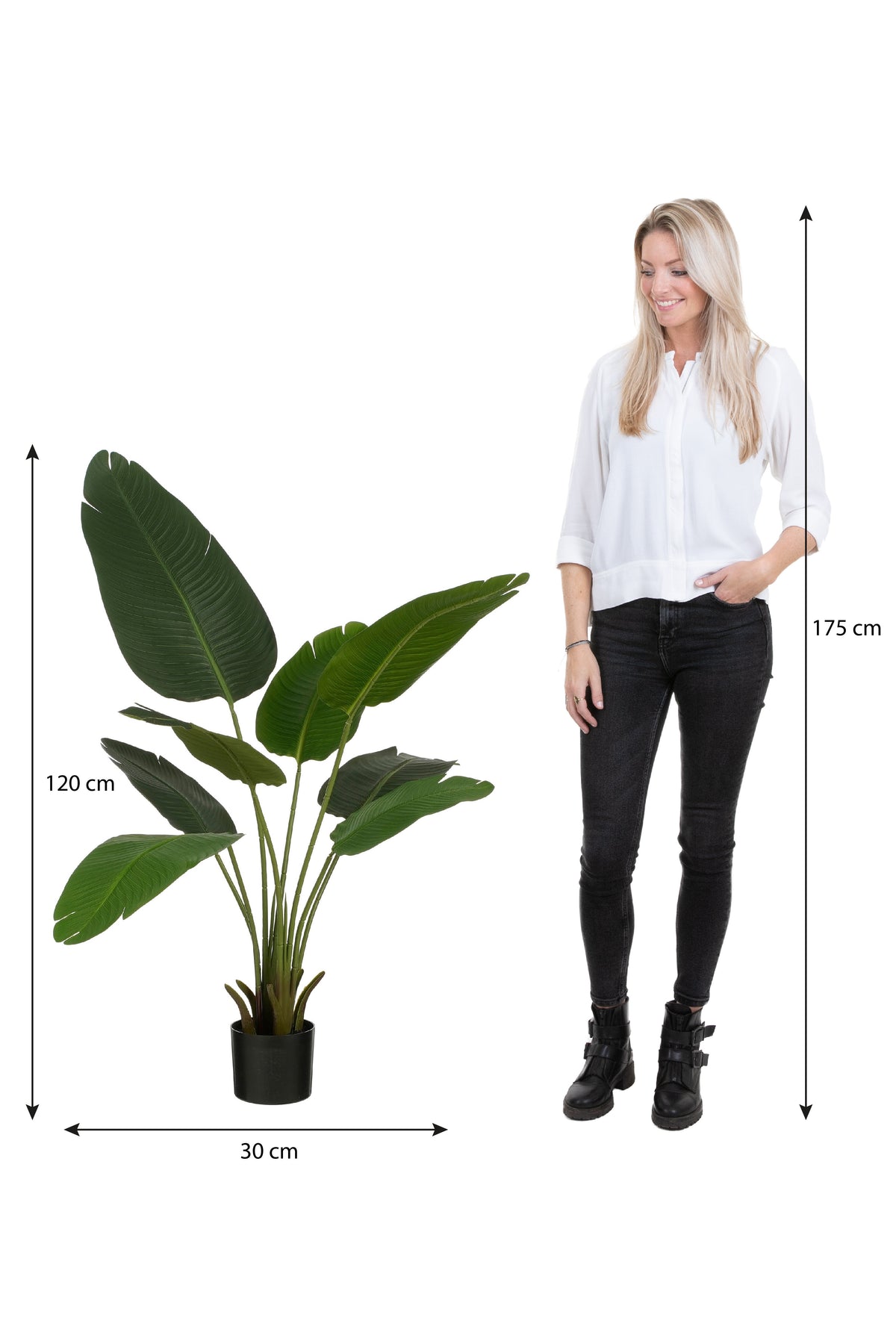 Banana Tree In Pot Green - H120Xd30Cm