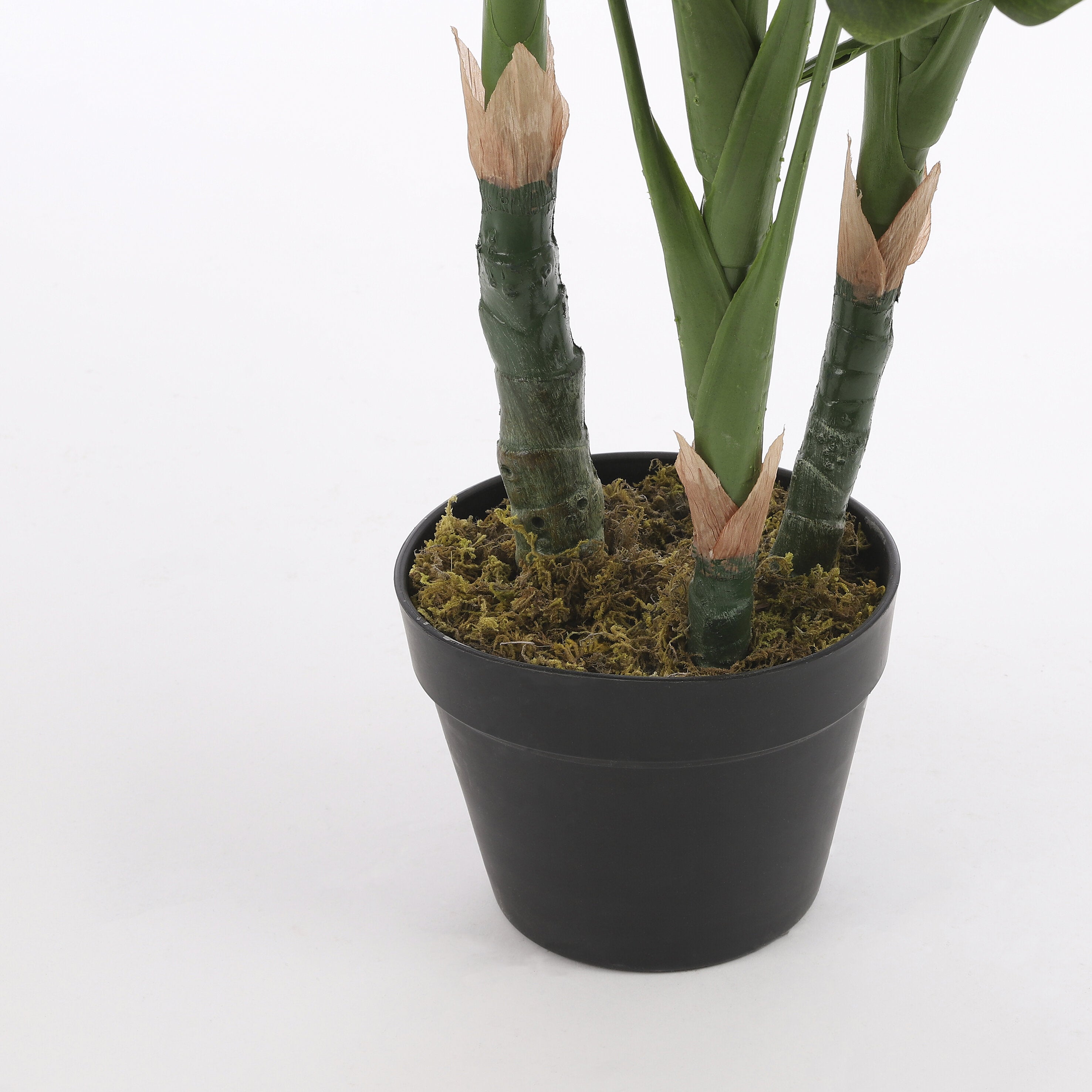 Monstera In Pot Green - H100Xd75Cm