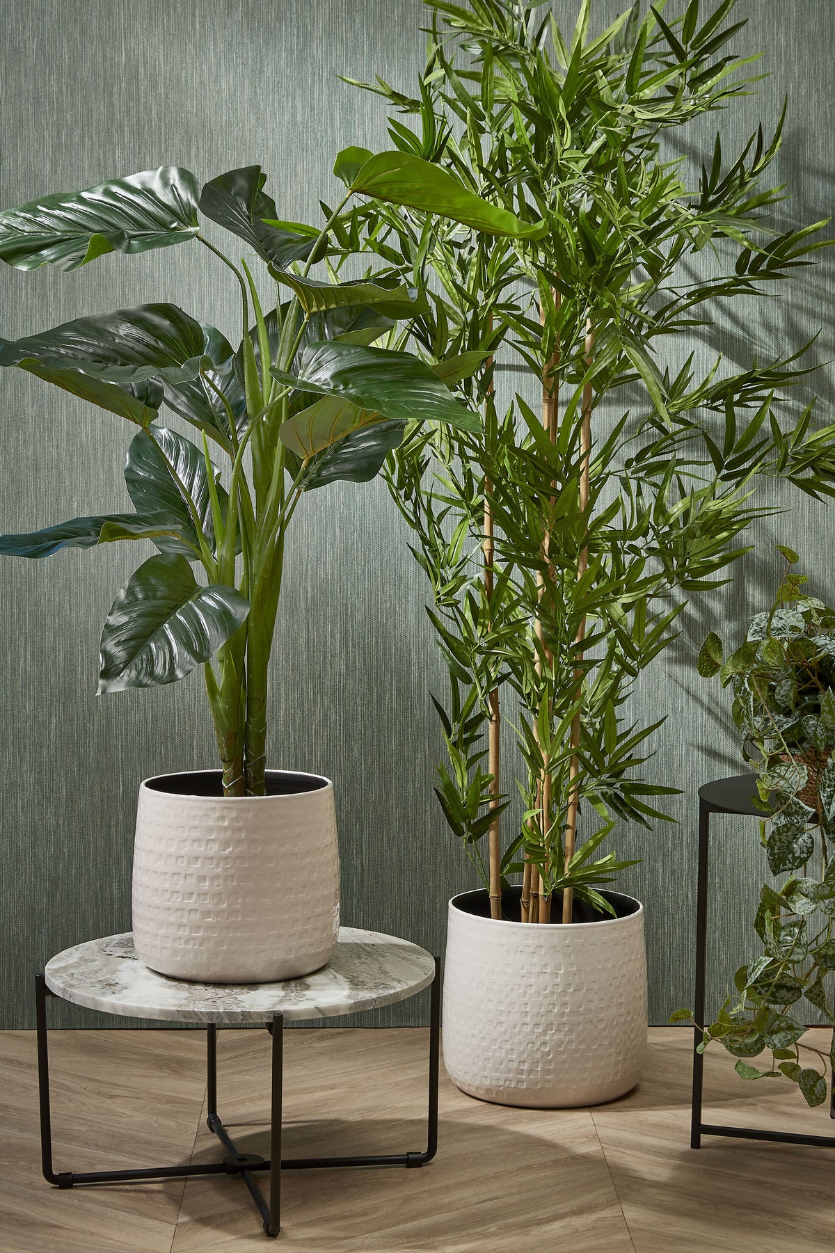 Bamboo In Pot Green - H155Xd90Cm