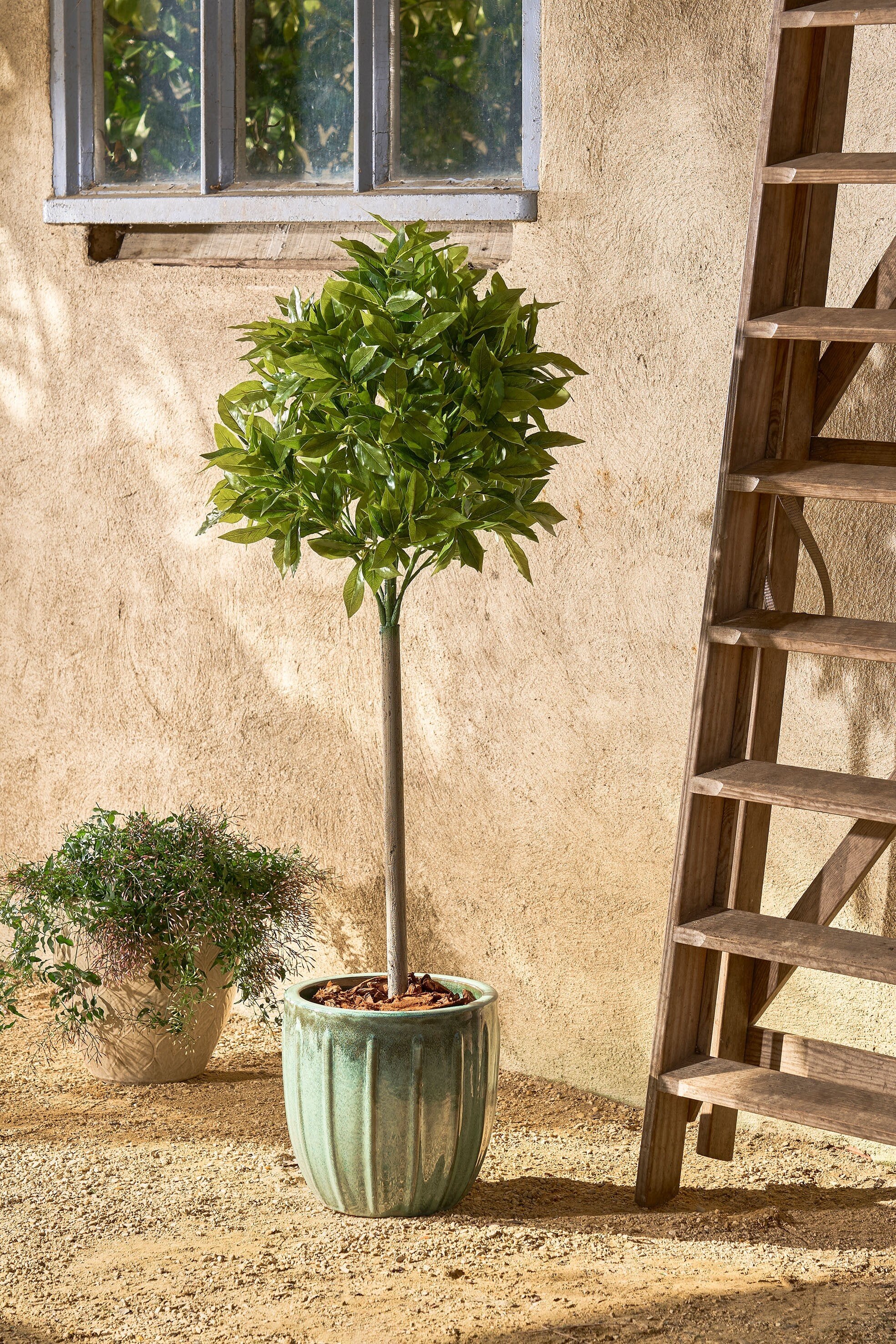 Laurel Tree Green Waterproof & Uv Resistant - H120Xd40Cm