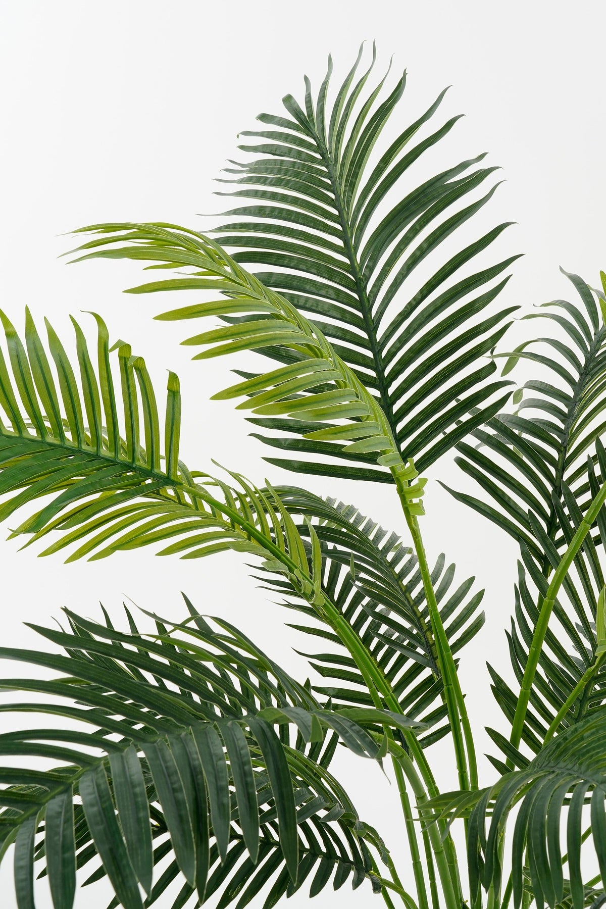 Areca Palm In Pot Green Waterproof & Uv Resistant - H134Xd50Cm