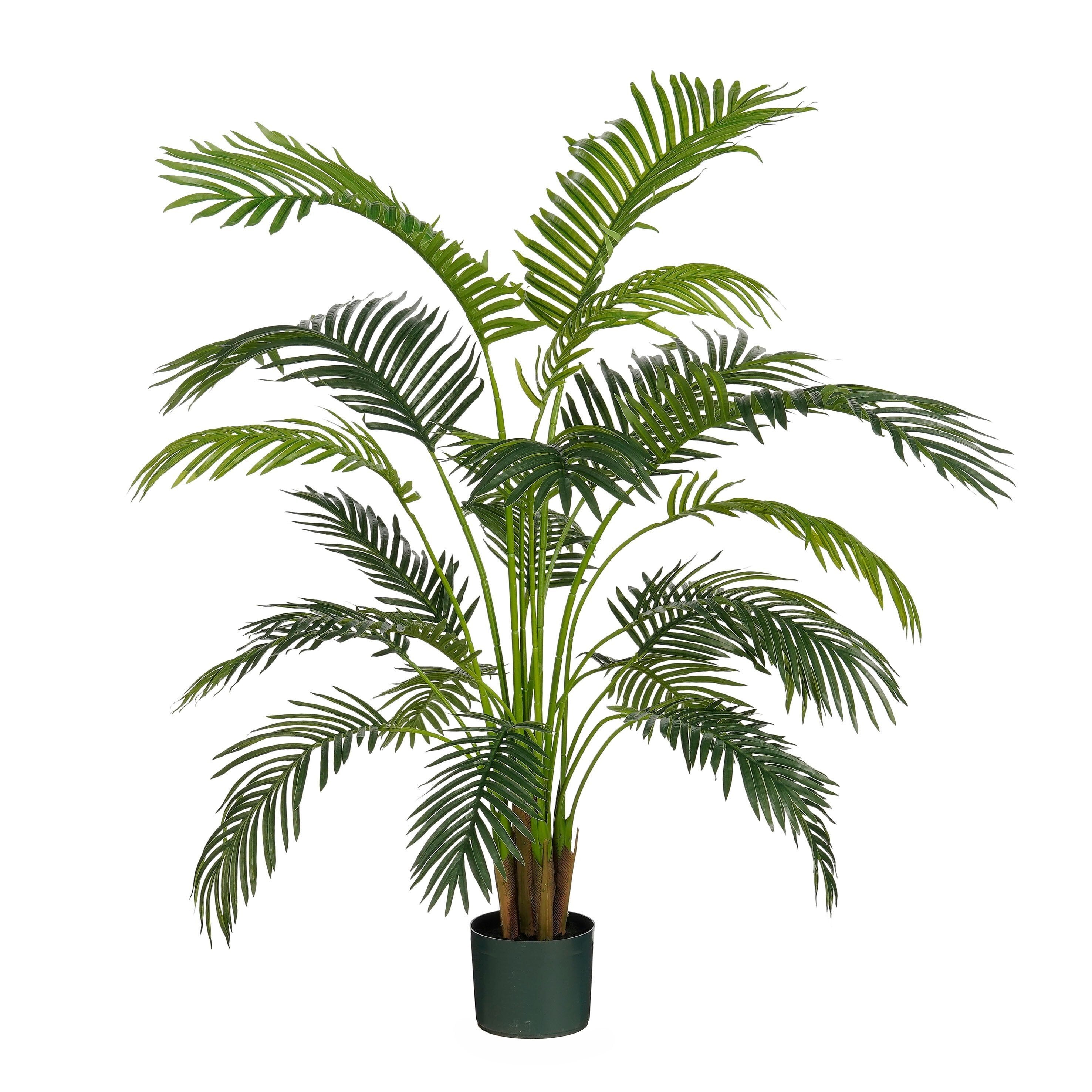 Areca Palm In Pot Green Waterproof & Uv Resistant - H134Xd50Cm