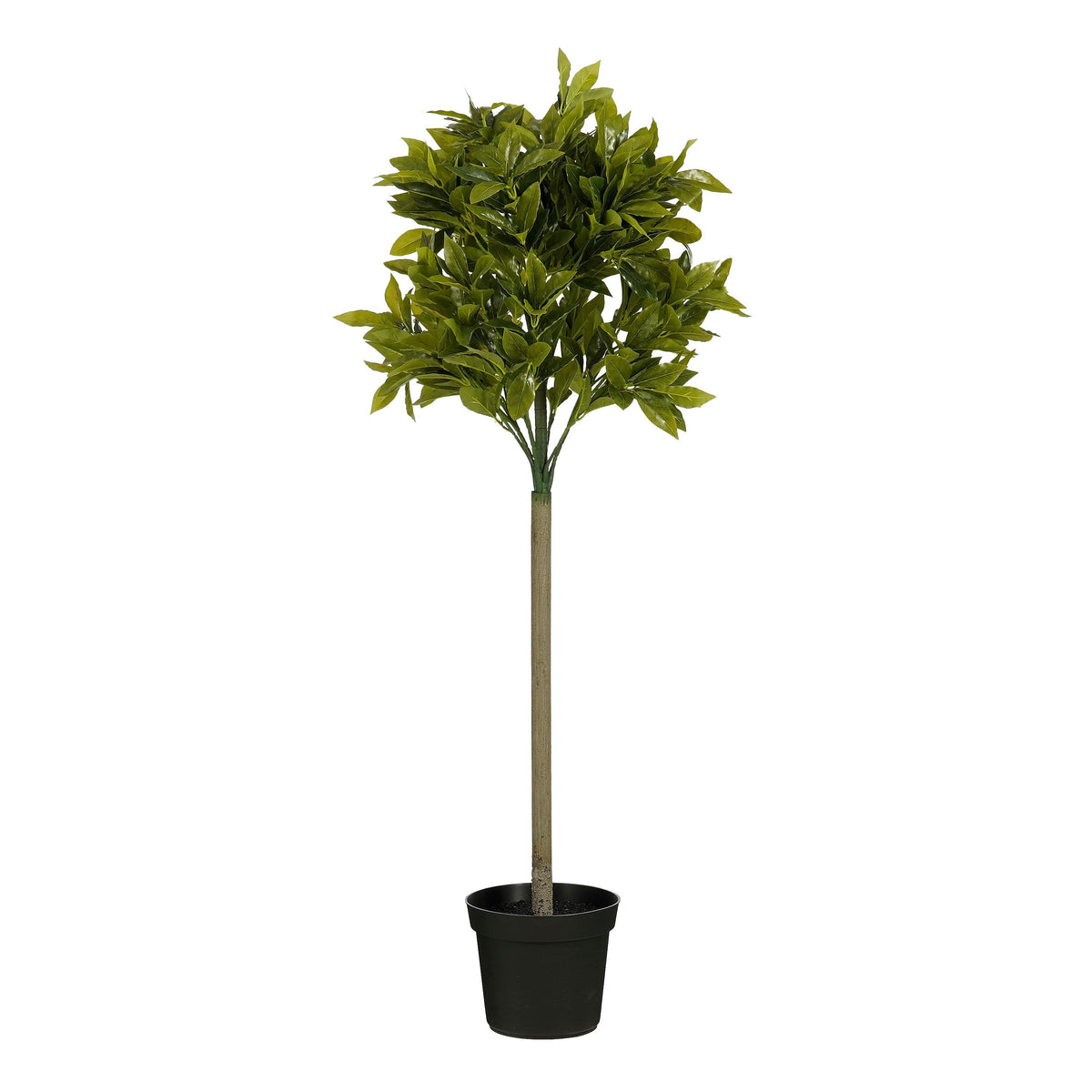 Laurel Tree Green Waterproof & Uv Resistant - H120Xd40Cm