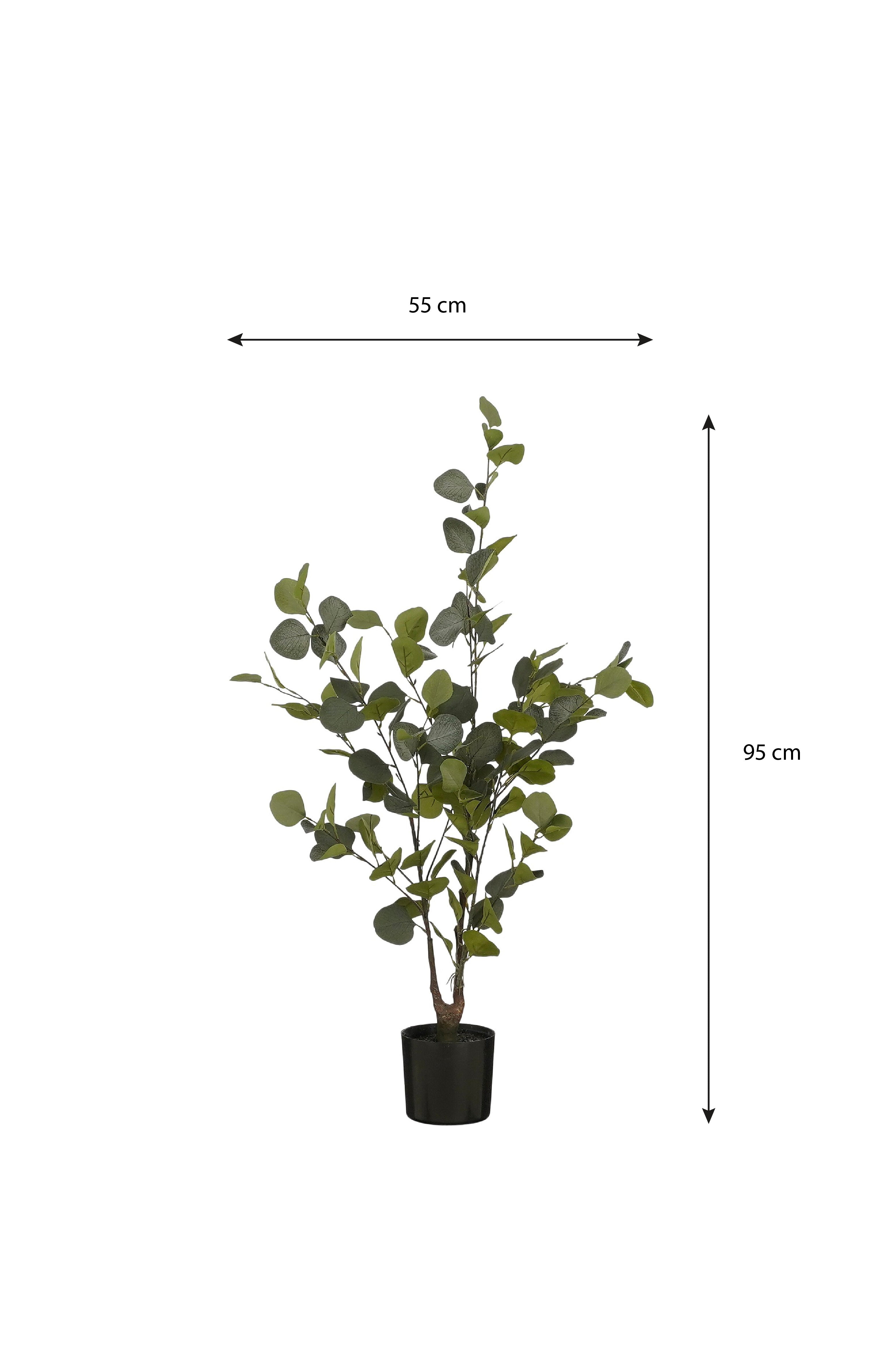 Eucalyptus Tree In Pot Green - H120Xd55Cm