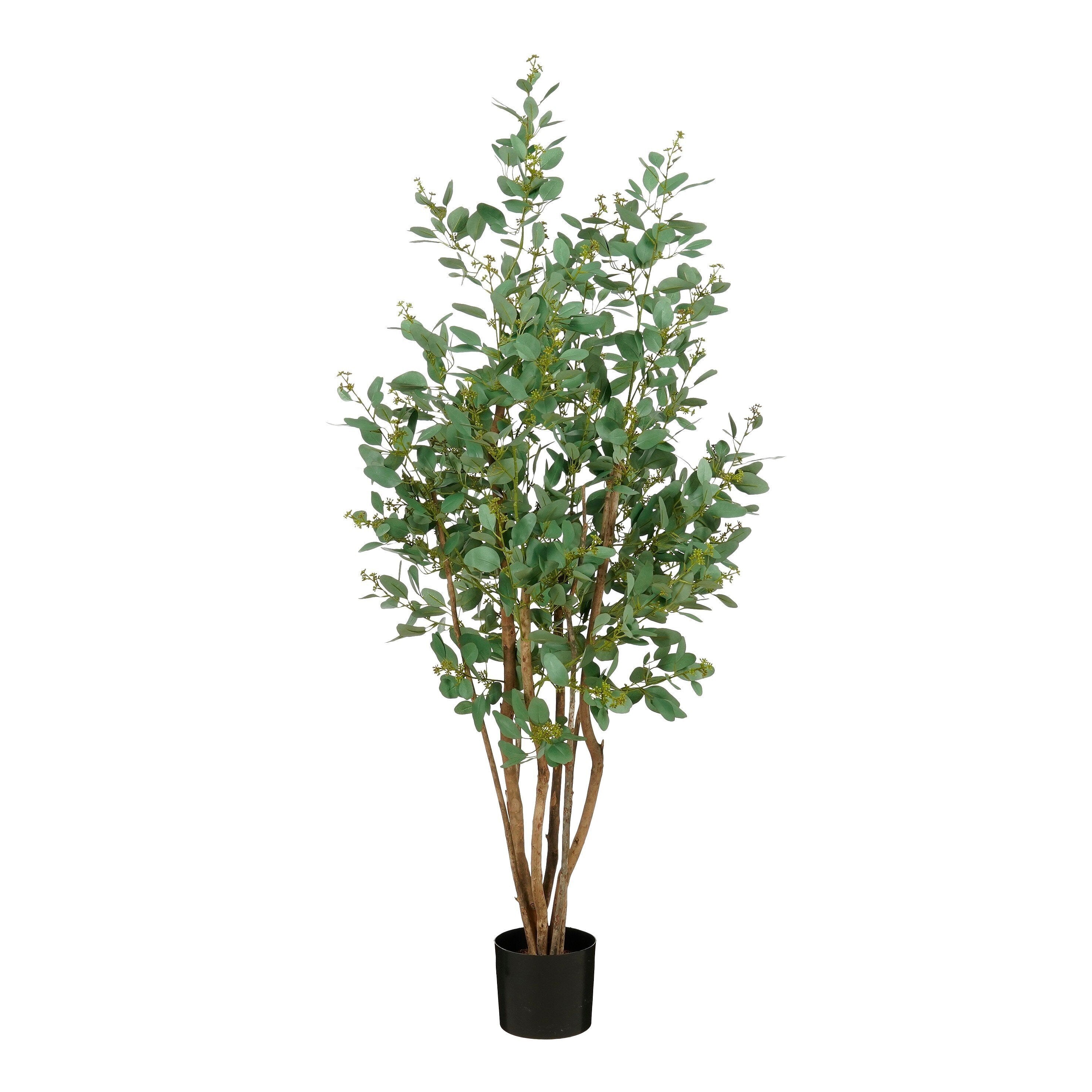 Poplar In Pot Green - H110Xd60Cm