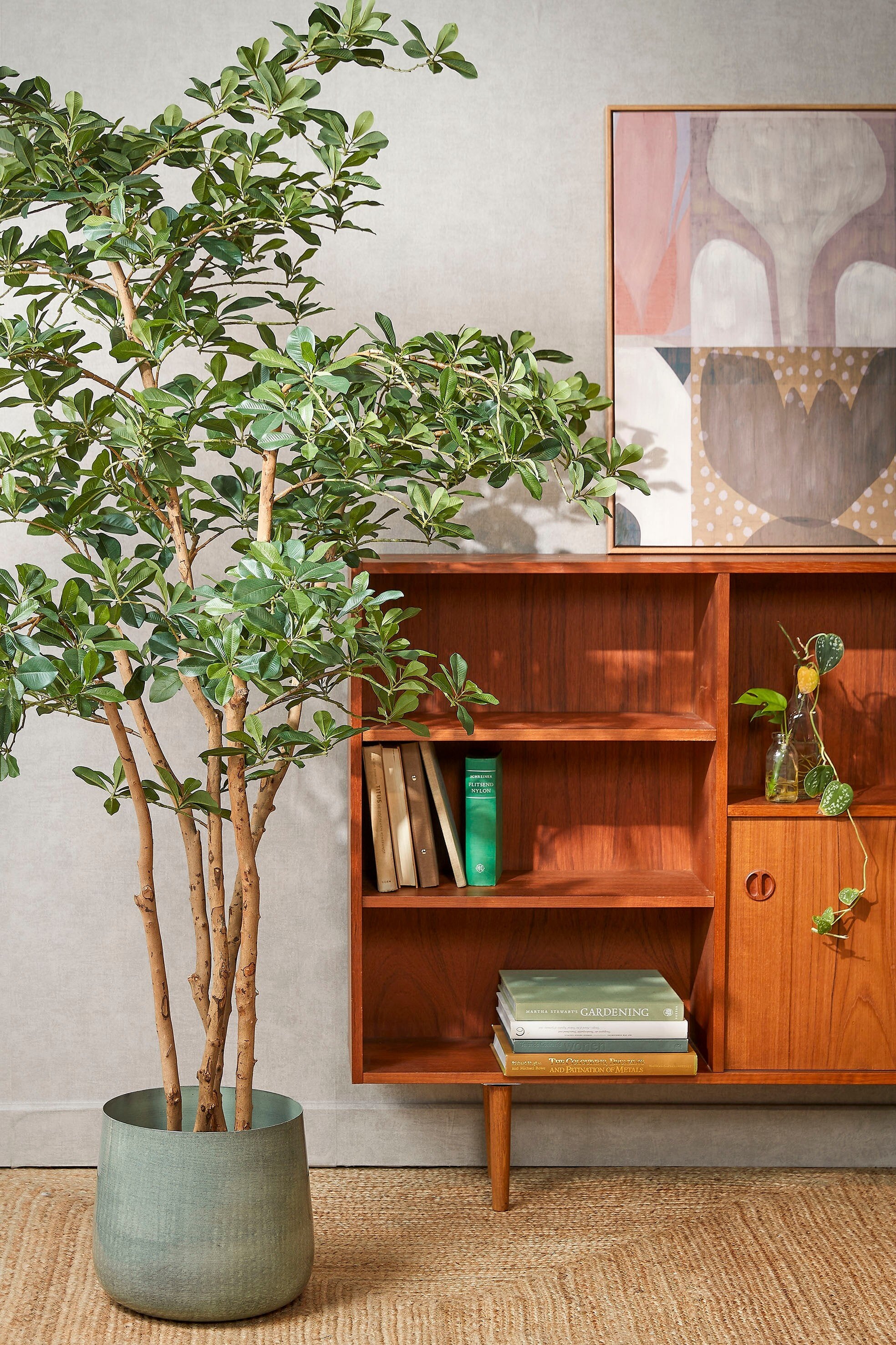 Oriental Olive Tree Green - H183Xd130Cm