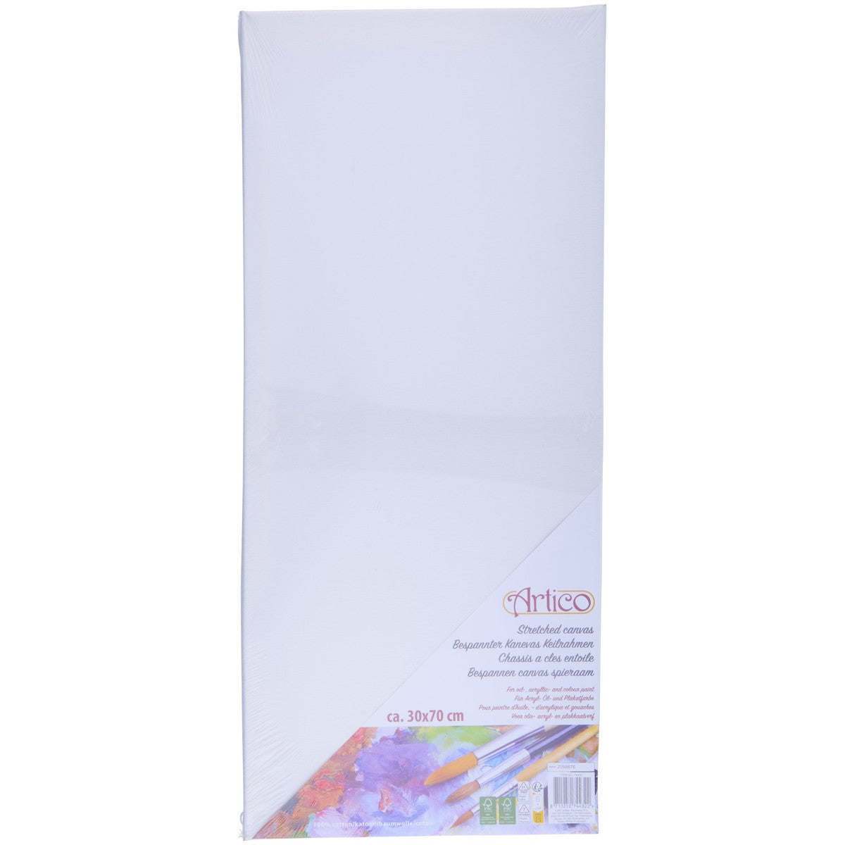 Stretched Canvas 30X70Cm