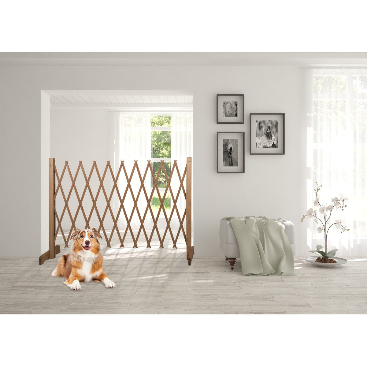 Dog Fence H90Xw30-117Cm Wd