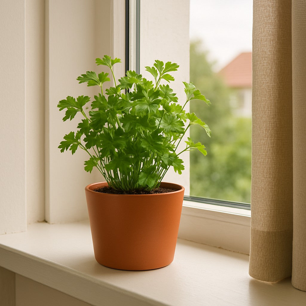 Pot Tubo Ø20 Copper