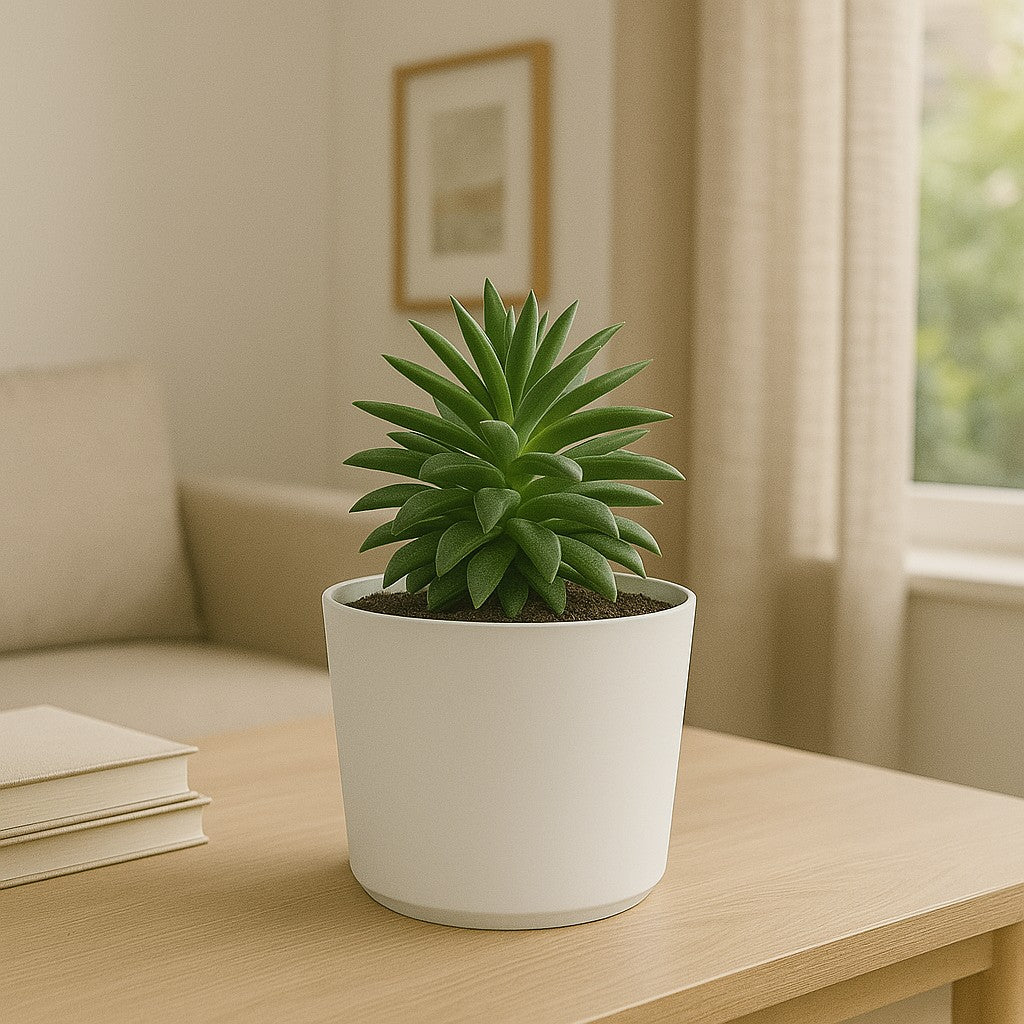 Pot Tubo Ø20 White