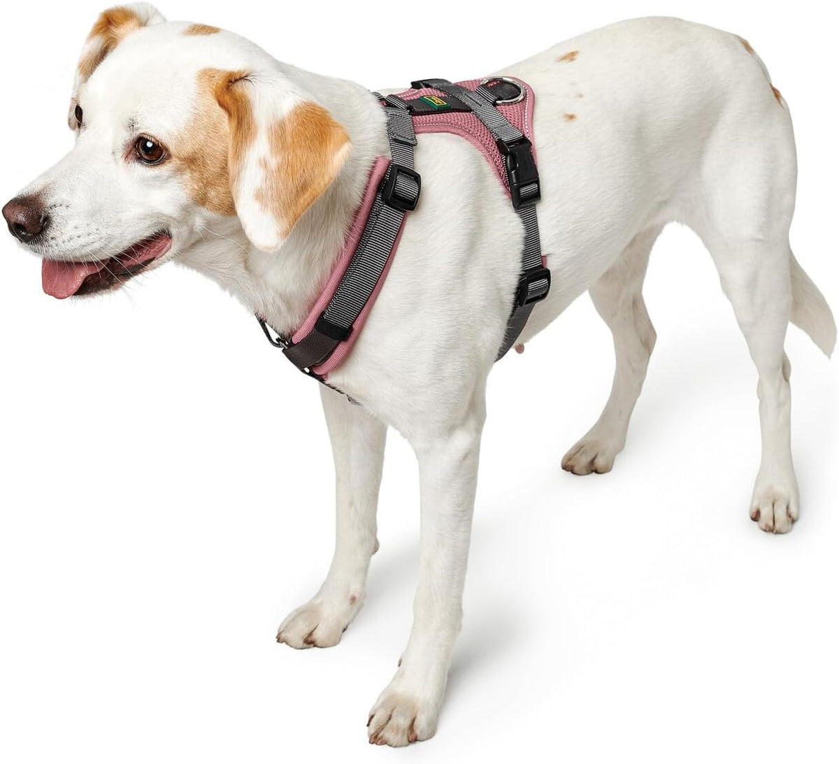 Hunter Maldon UP Harnais pour chien vieux rose et gris