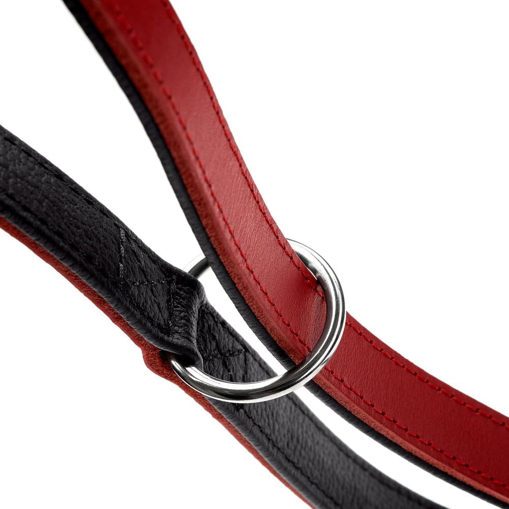 Hunter Laisse réglable pour Chien Love, Couleur : Rouge/Noir, Cuir Nappa Souple, réglable sur 3 Positions, cœurs Cousus, Finition de qualité supérieure, fabriquée en Allemagne, Taille 13/200
