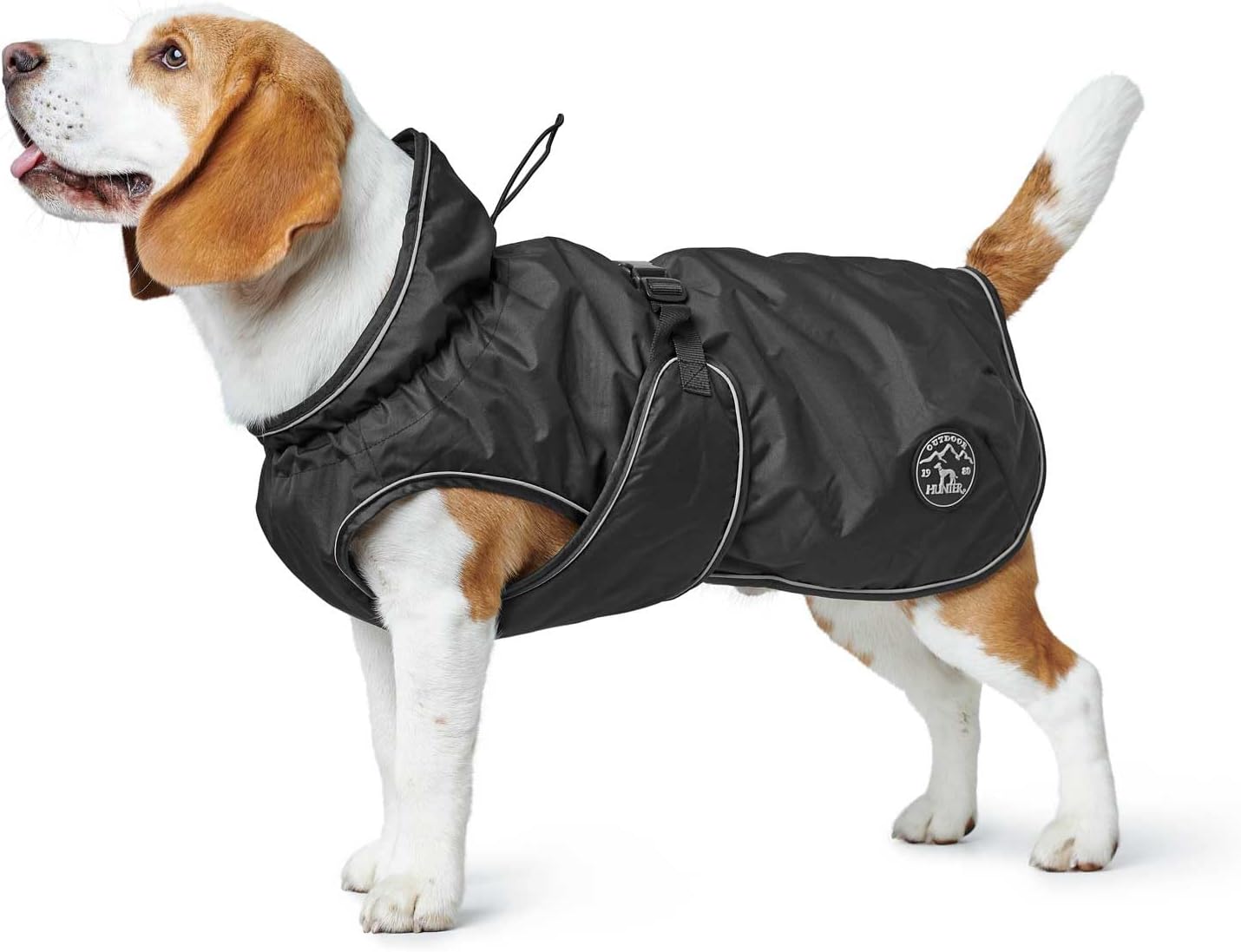 Couverture pour chien Uppsala, taille 55
