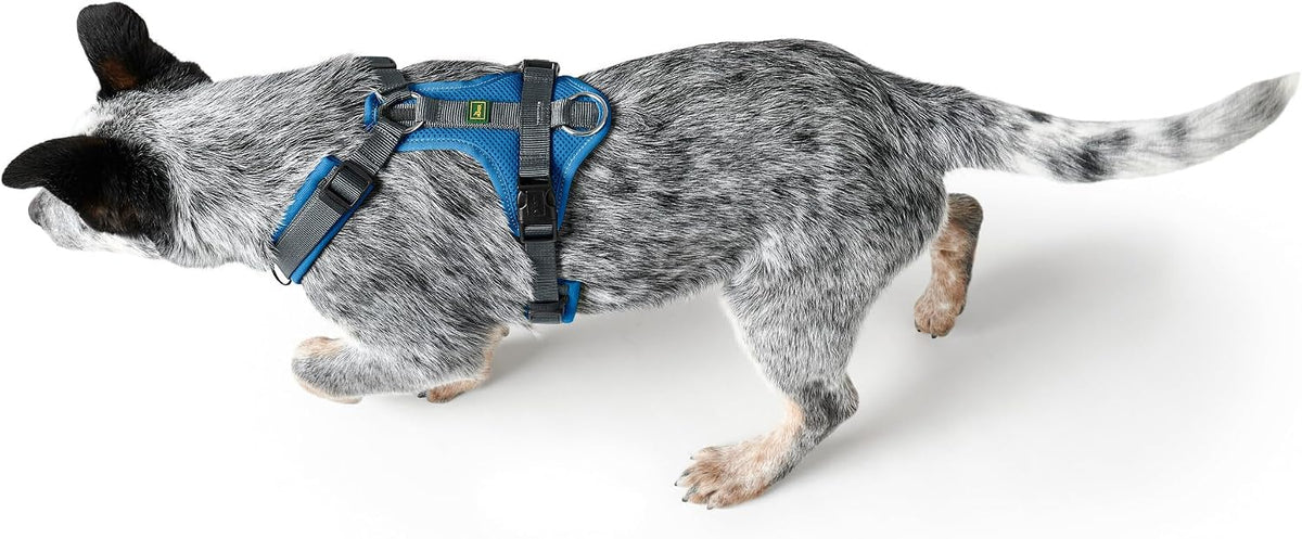 HUNTER Maldon – Harnais bleu/gris M-L