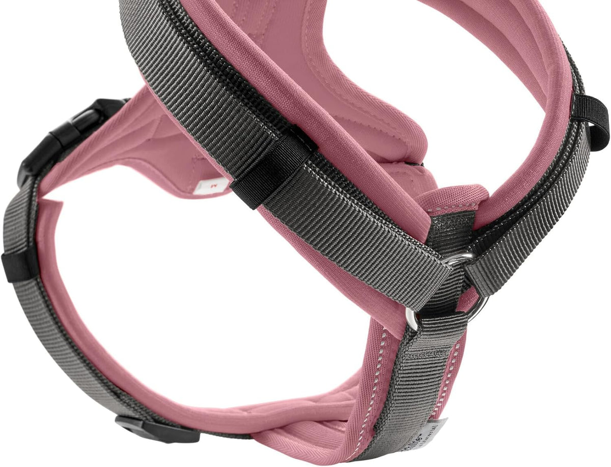 Hunter Maldon UP Harnais pour chien vieux rose et gris