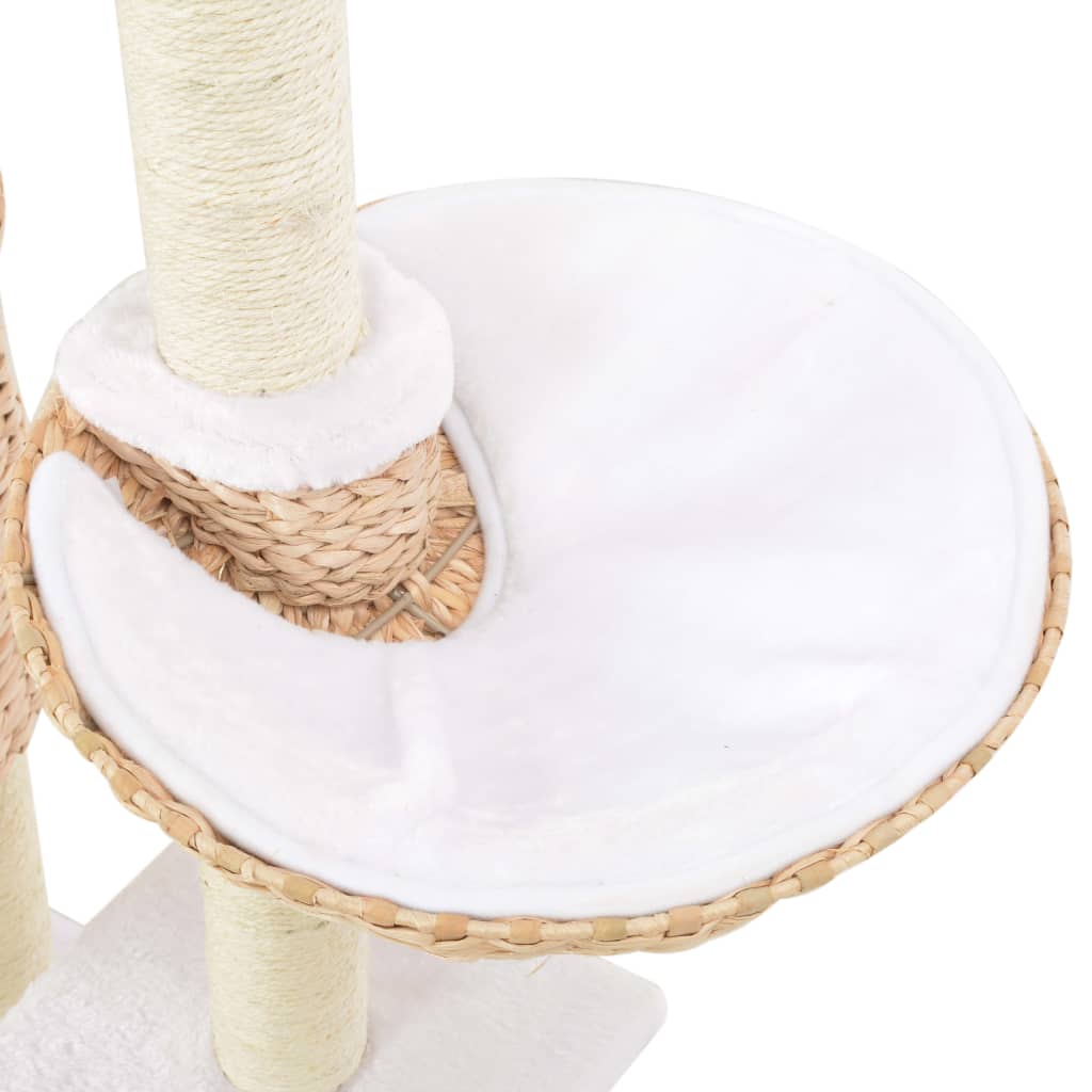 Arbre À Chat Avec Griffoirs En Sisal Herbiers Marins