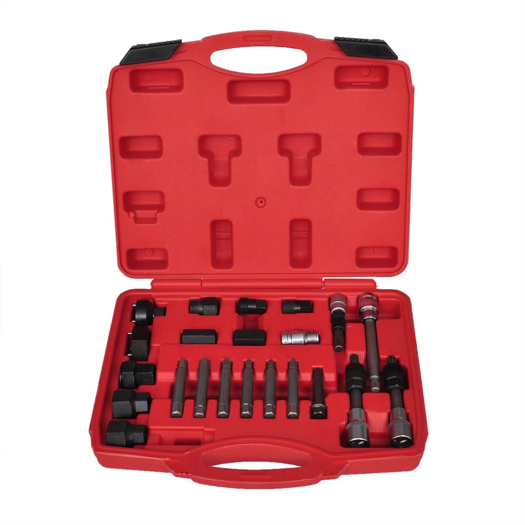 Kit De Démontage De Roue Libre D'alternateur 22 Pcs