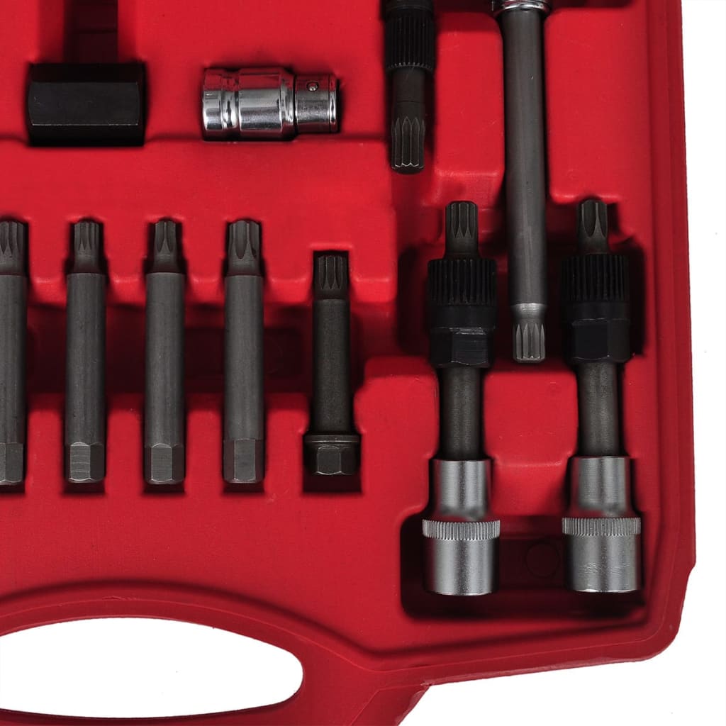Kit De Démontage De Roue Libre D'alternateur 22 Pcs