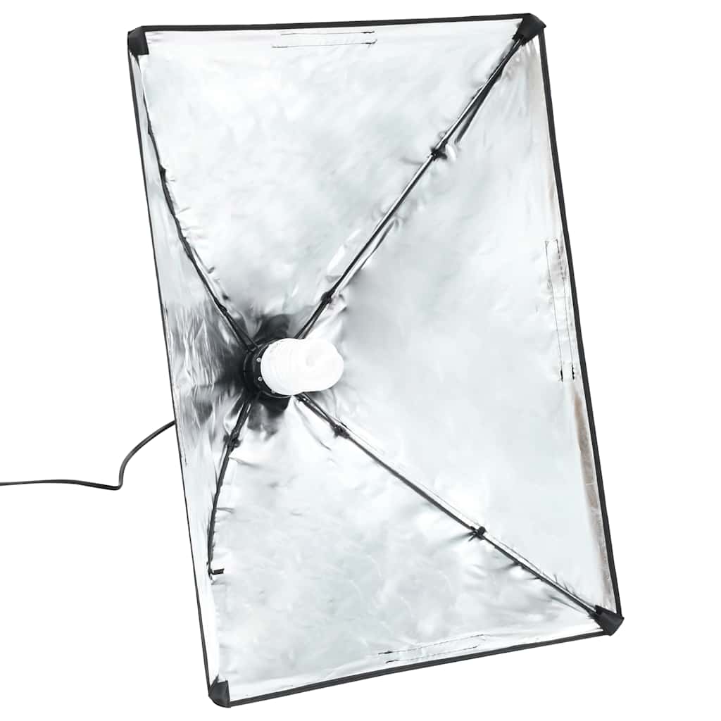 Lampes De Studio Professionnelles 2 Pcs 40X60 Cm Acier Noir