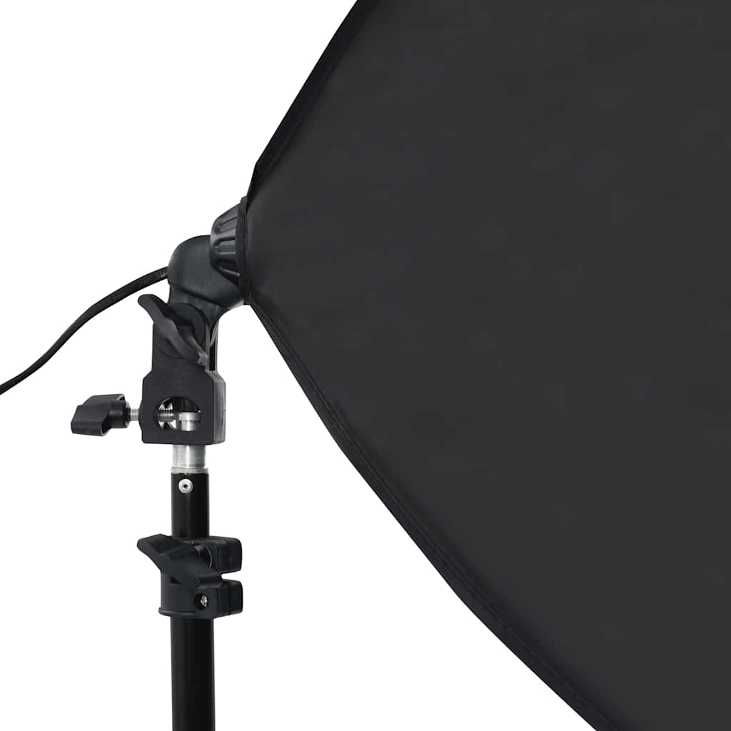 Lampes De Studio Professionnelles 2 Pcs 40X60 Cm Acier Noir