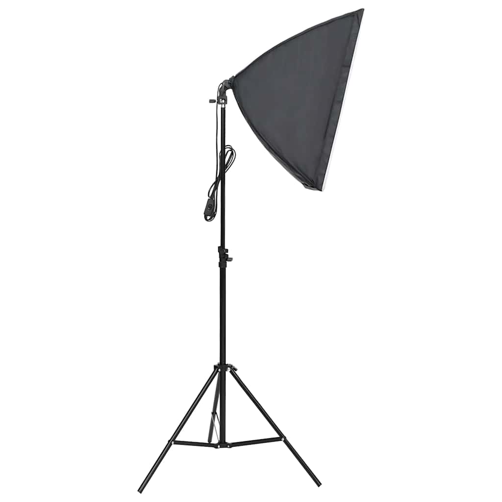 Kit De Studio Photo Avec Éclairage Et Toile De Fond