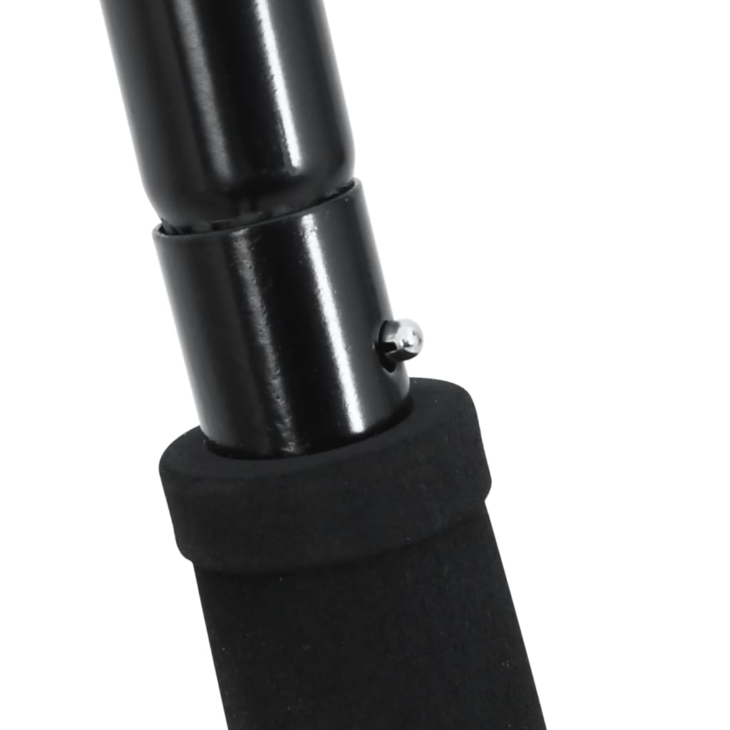 Fourche Avec 18 Dents Noir Acier