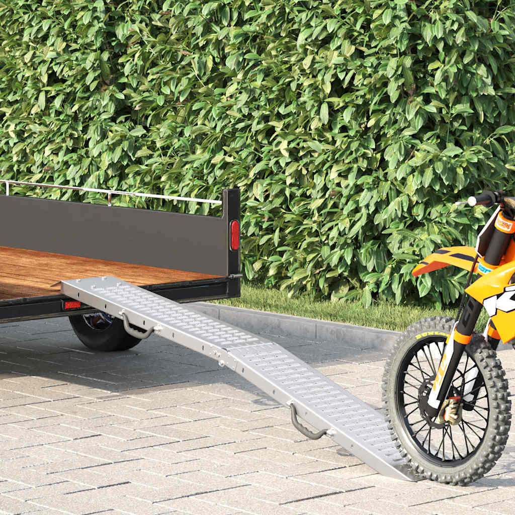 Rampe Pliable 200Kg Par Rampe 2 Pièces Argenté 200 Kg Par Pièce