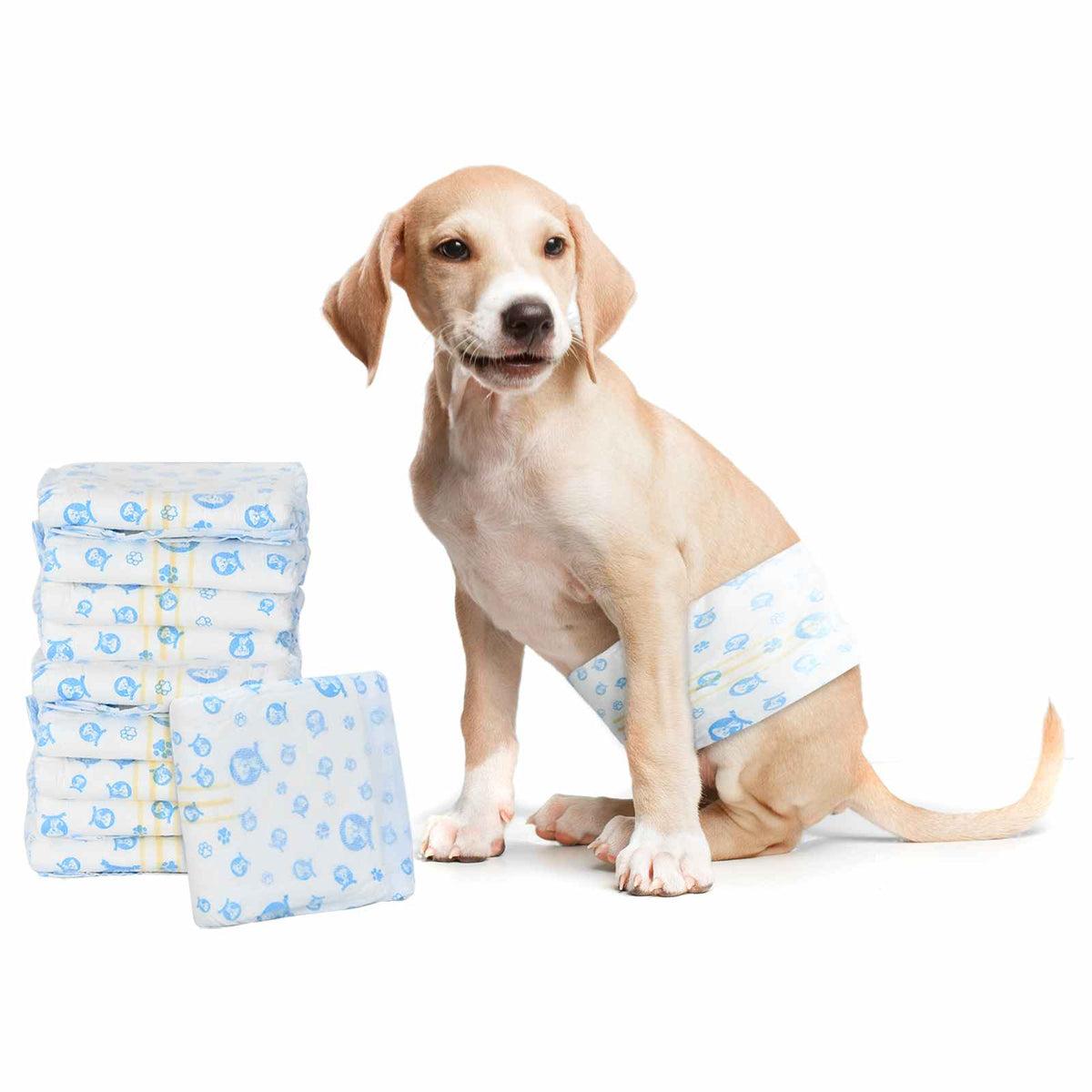 Protection Hygiénique Jetable Pour Chien Mâle 30 Pièces Xs