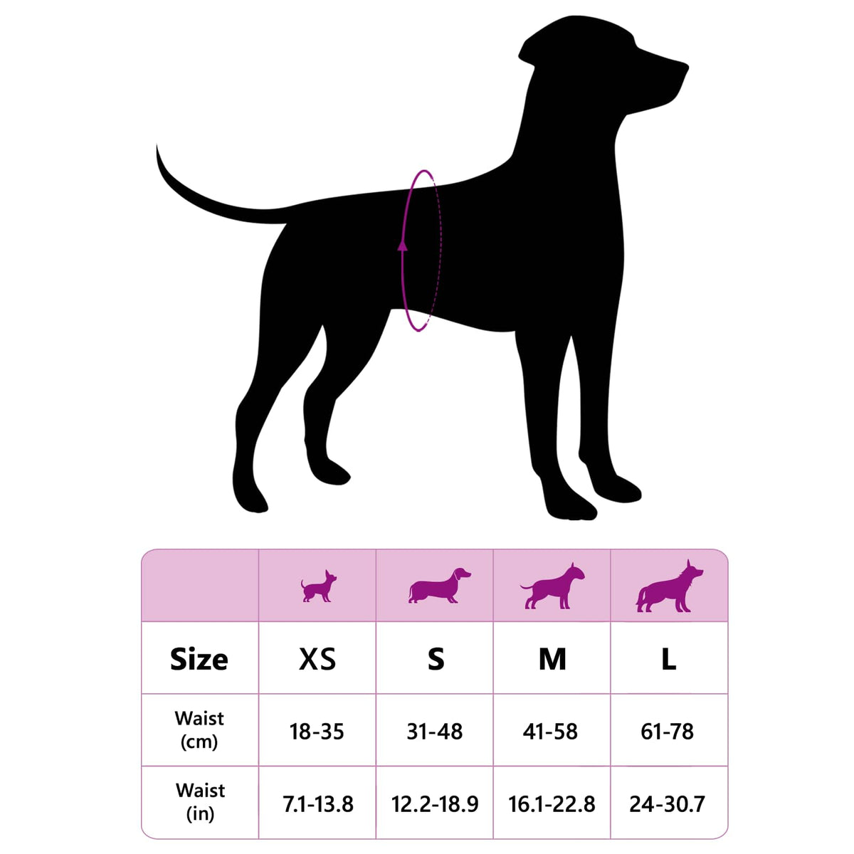 Protection Hygiénique Jetable Pour Chien Mâle 30 Pièces Xs