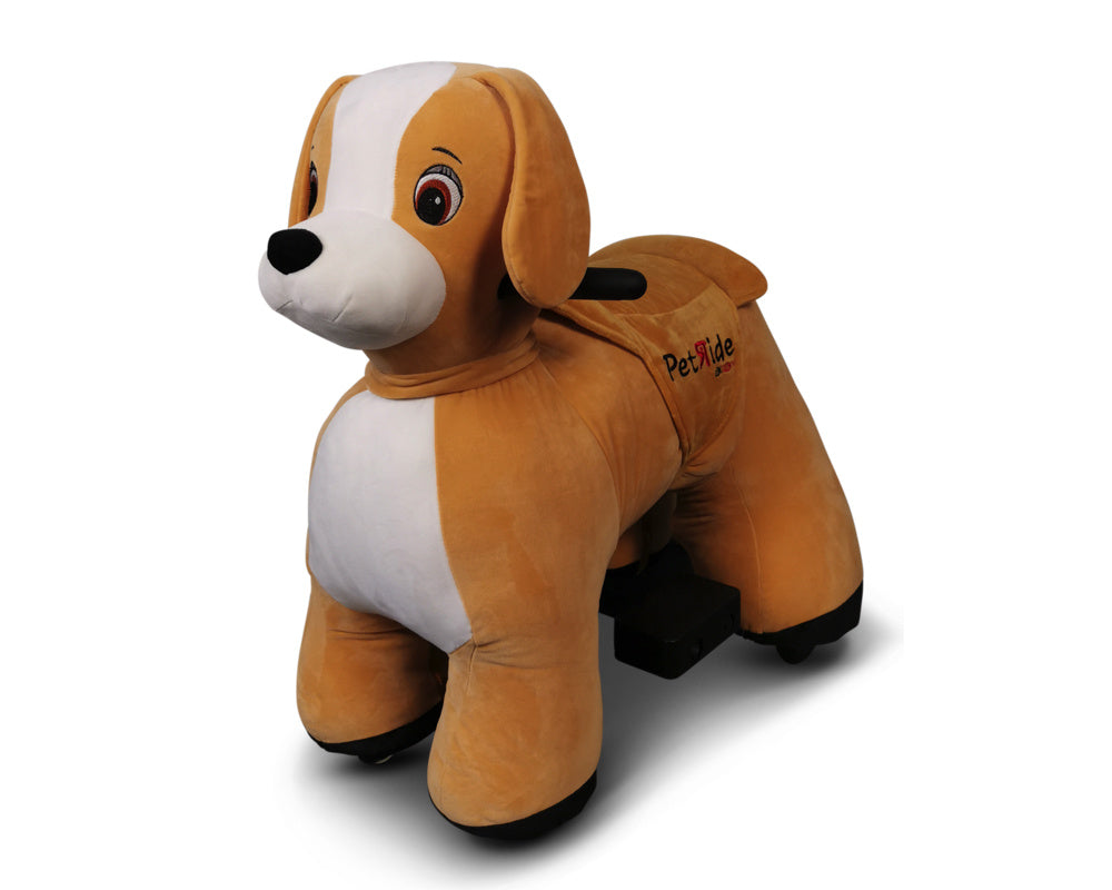 Petride De Rollzone, Chien De Conduite Électrique