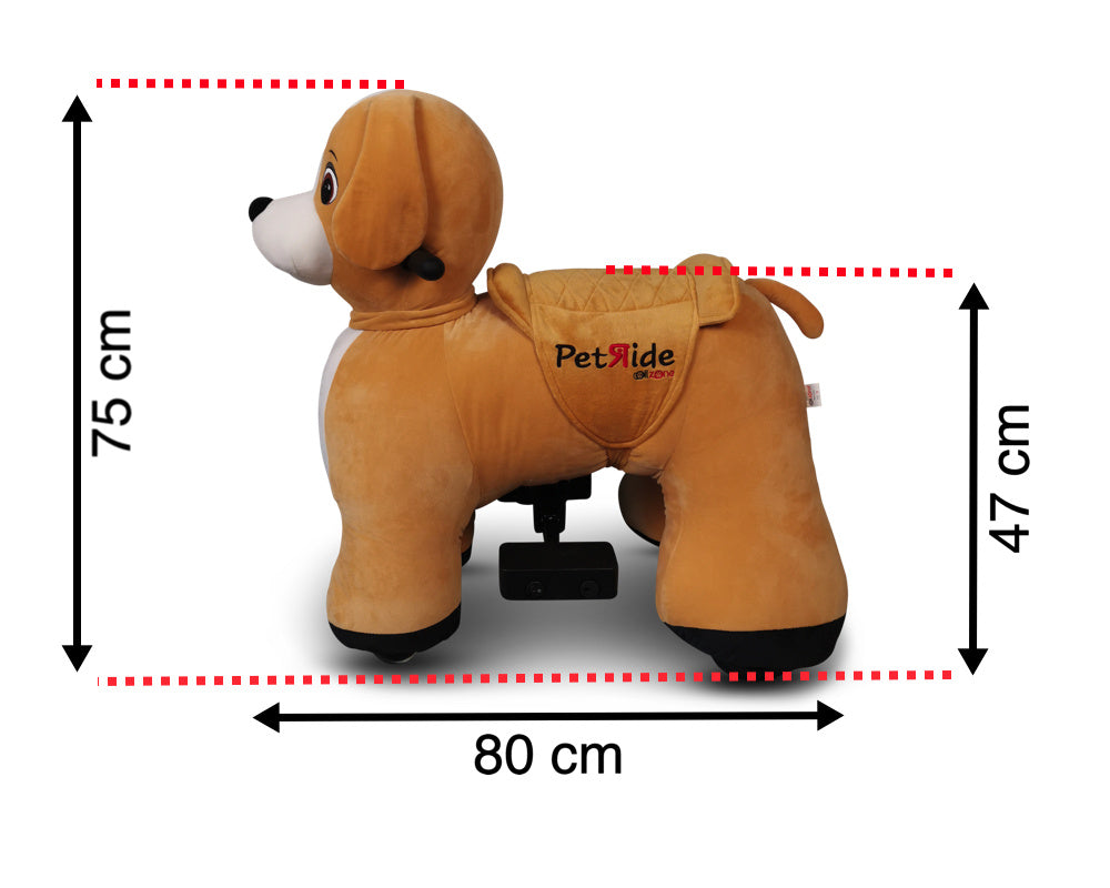 Petride De Rollzone, Chien De Conduite Électrique