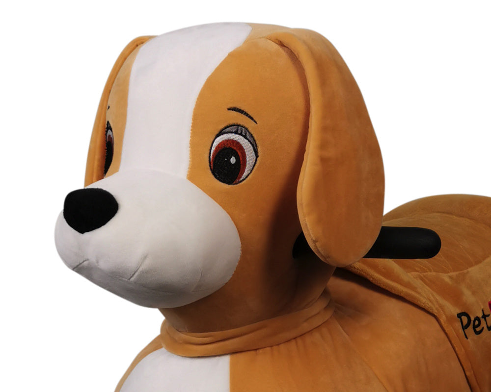 Petride De Rollzone, Chien De Conduite Électrique
