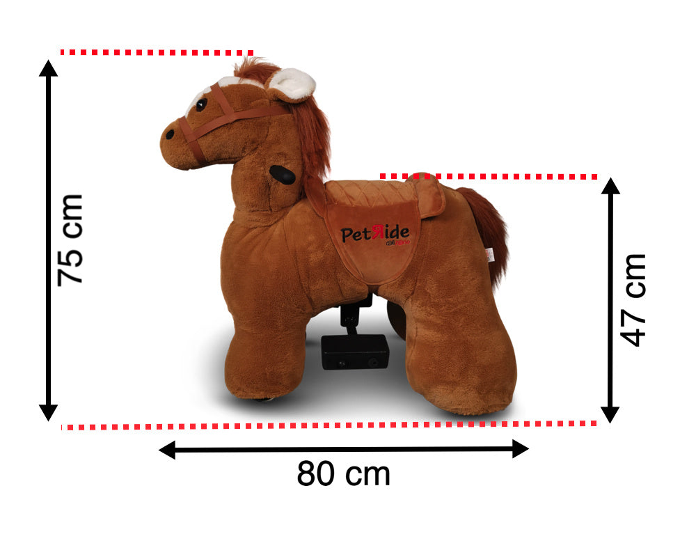 Petride De Rollzone, Un Cheval De Selle Électrique