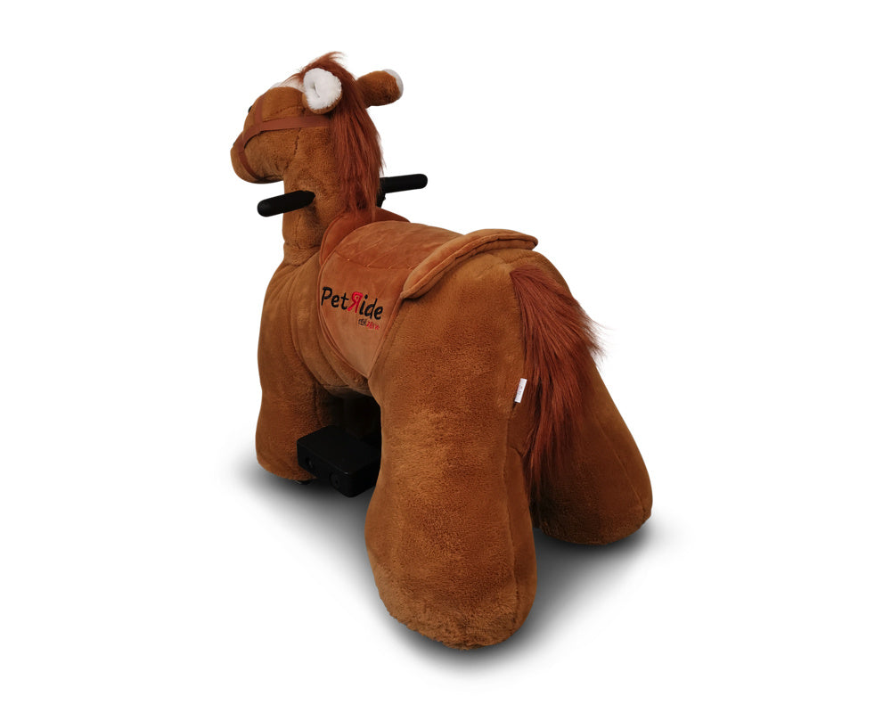 Petride De Rollzone, Un Cheval De Selle Électrique