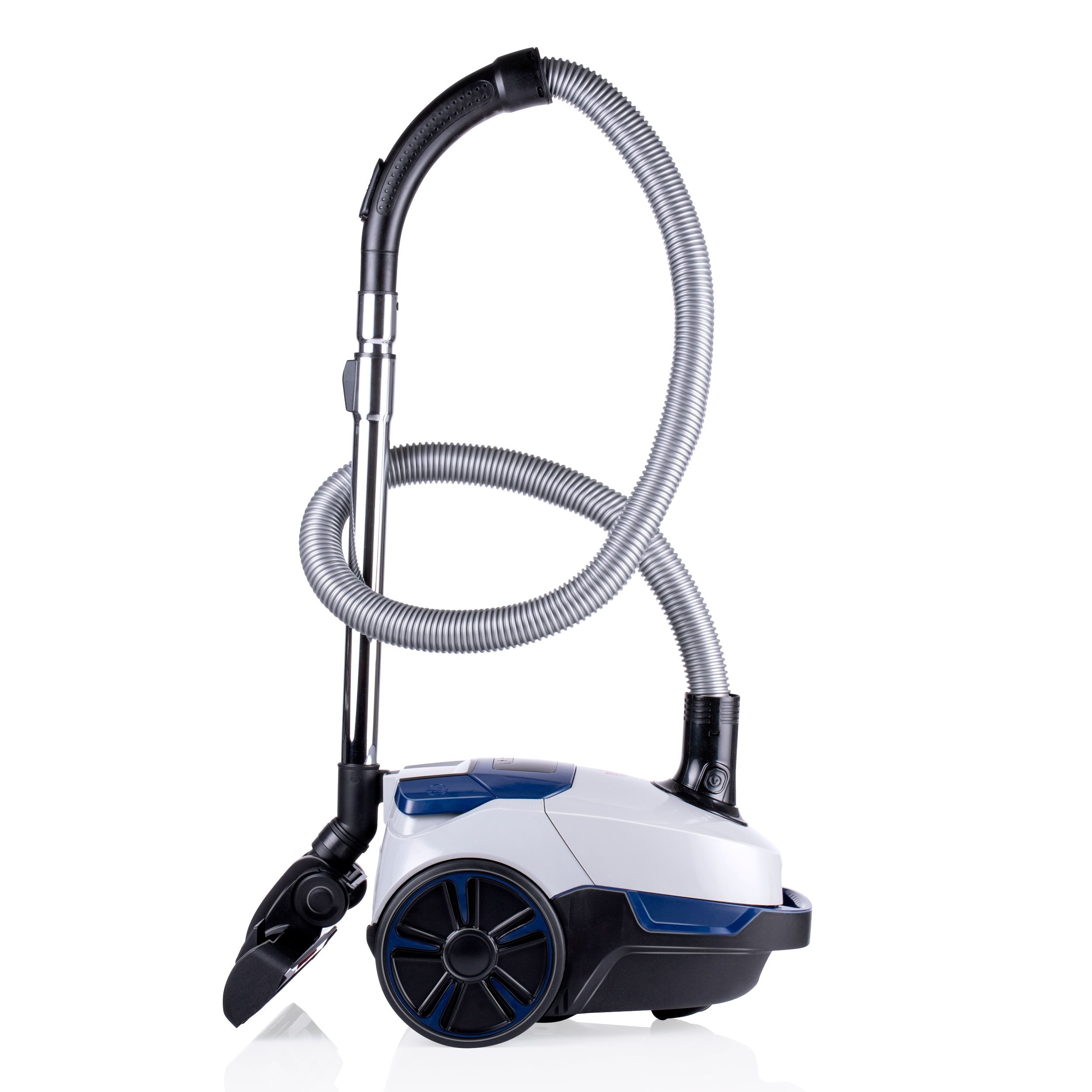 Vacuum Cleaner Bag 2,5L Dd2002