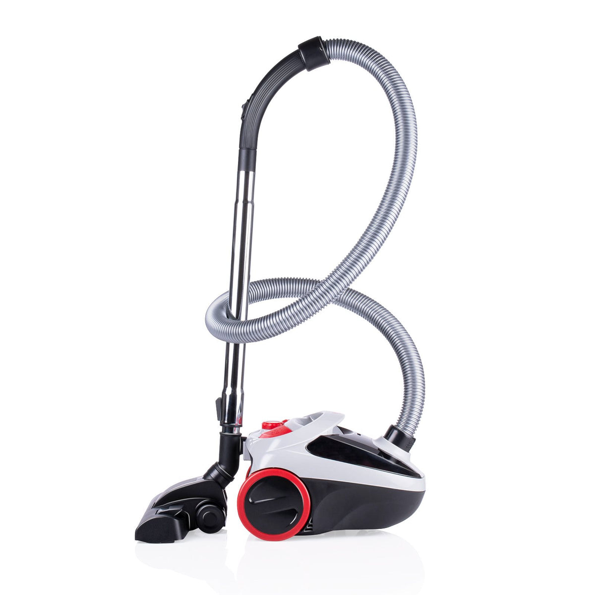 Vacuum Cleaner Bag 2,0L Dd2001