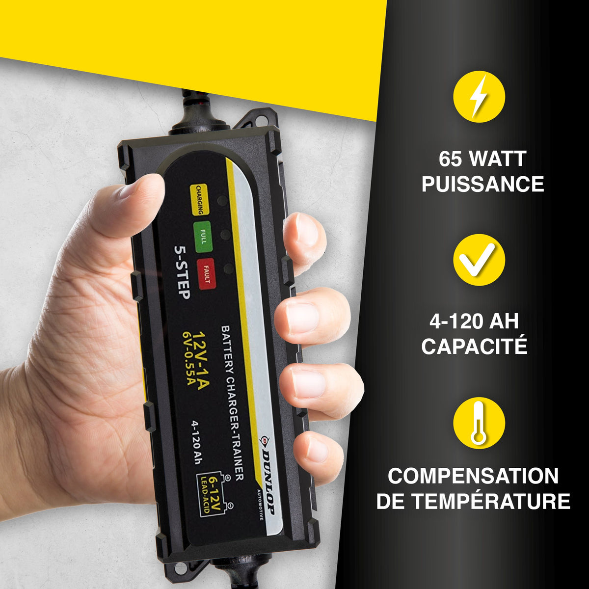 Smart Charger Battery 1A Dl Pl