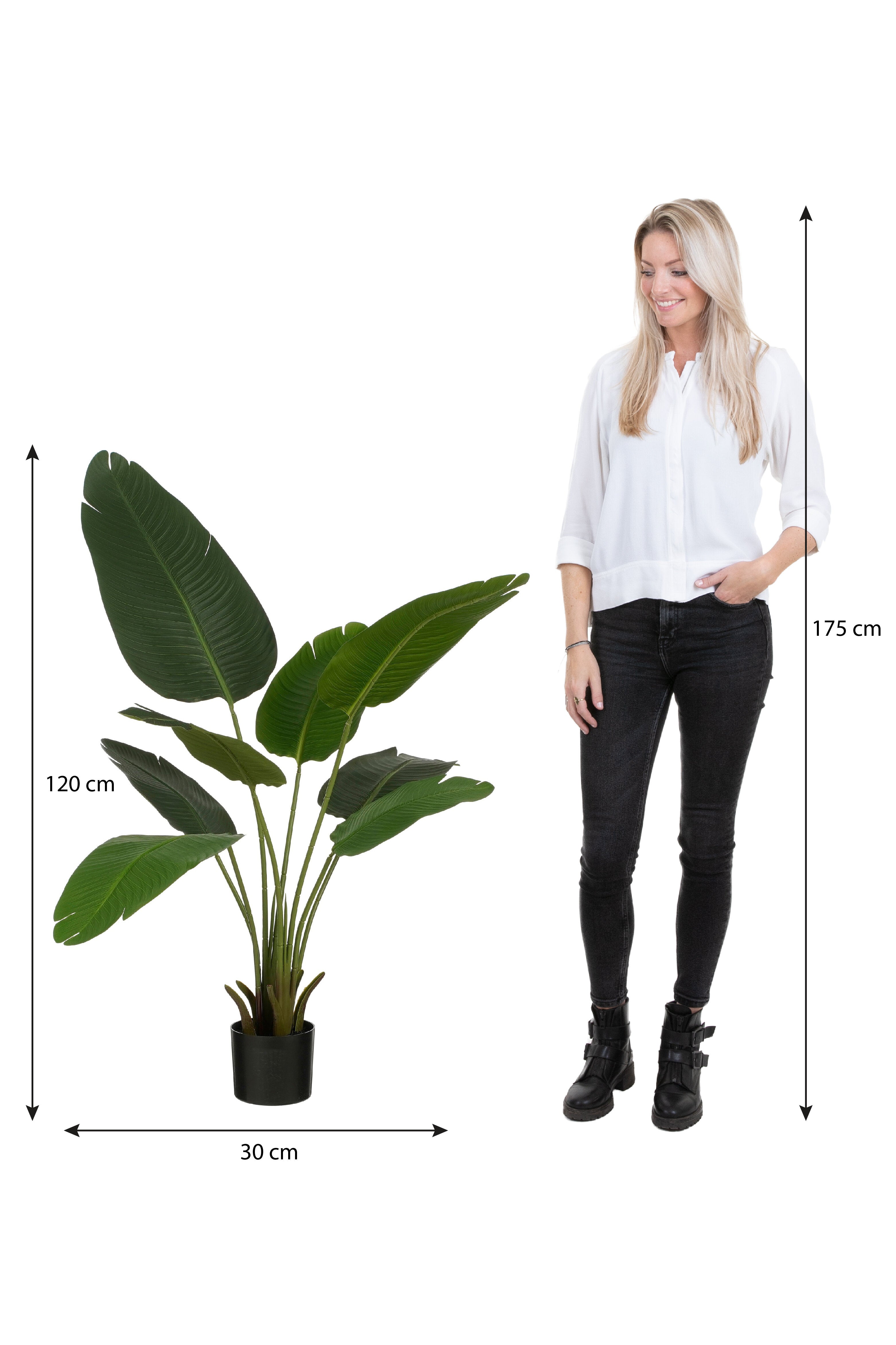 Banana Tree In Pot Green - H120Xd30Cm