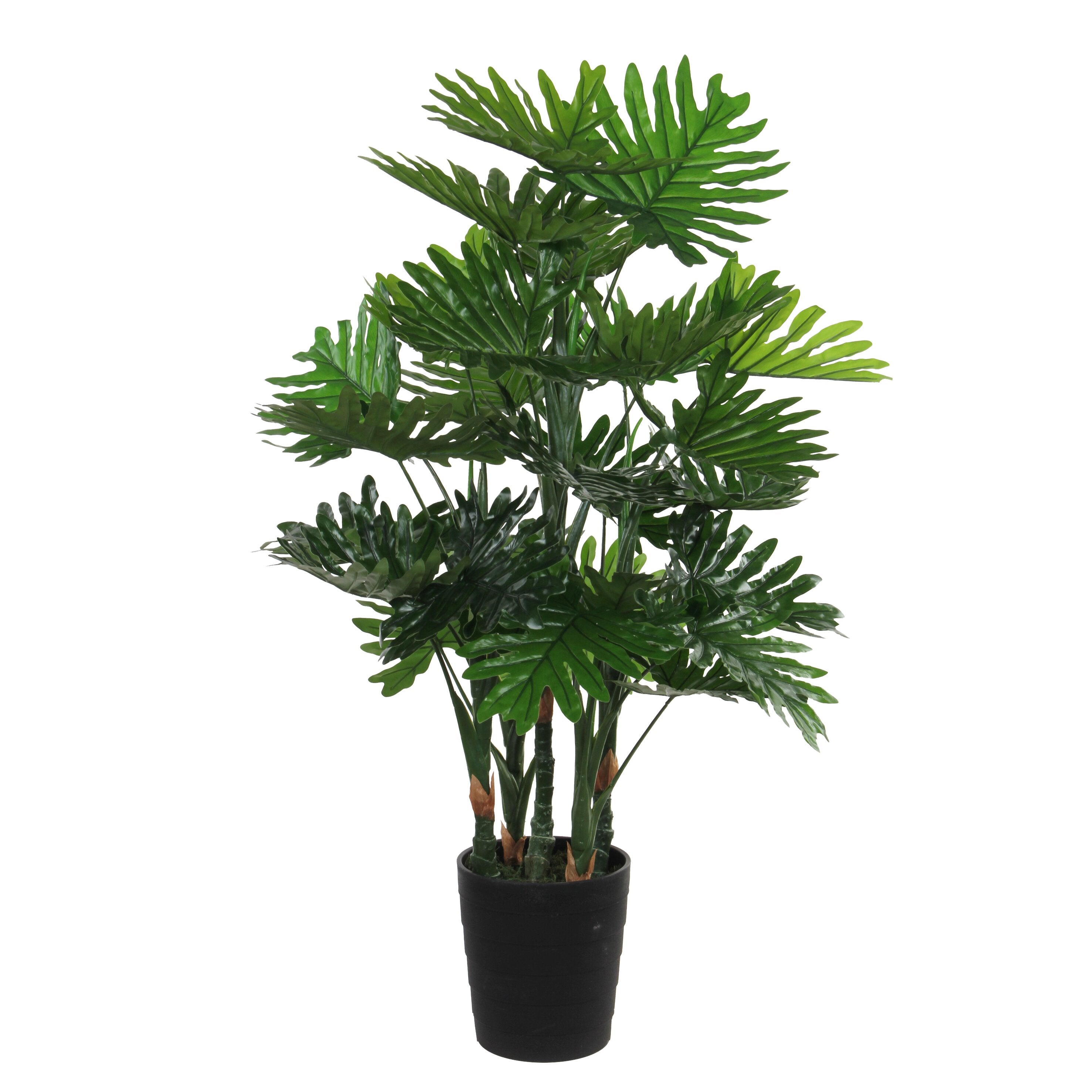 Philodendron In Plastic Pot Green - H120Xd80Cm