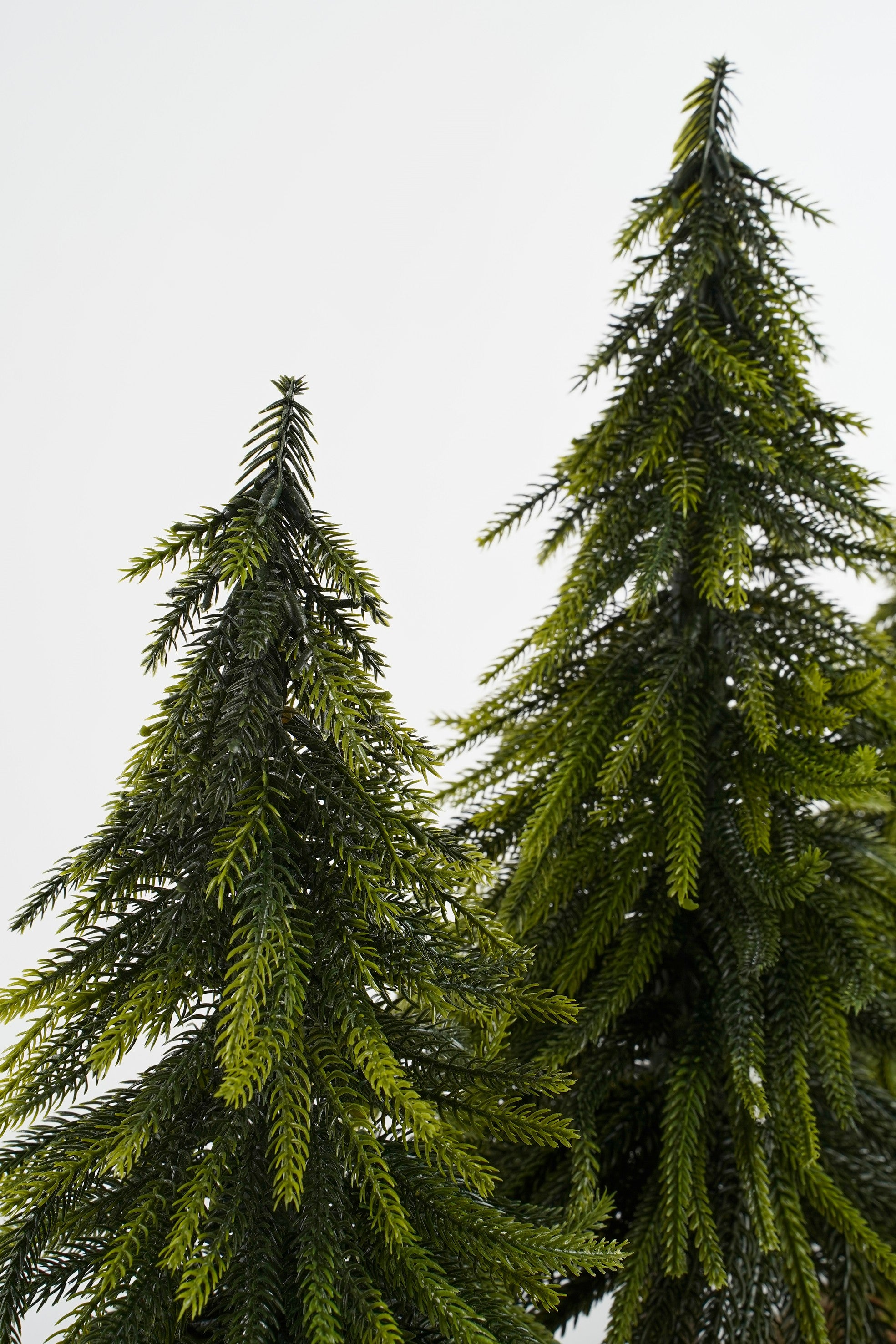 X-Mas Tree Green Tips 452 - H40Xd22Cm