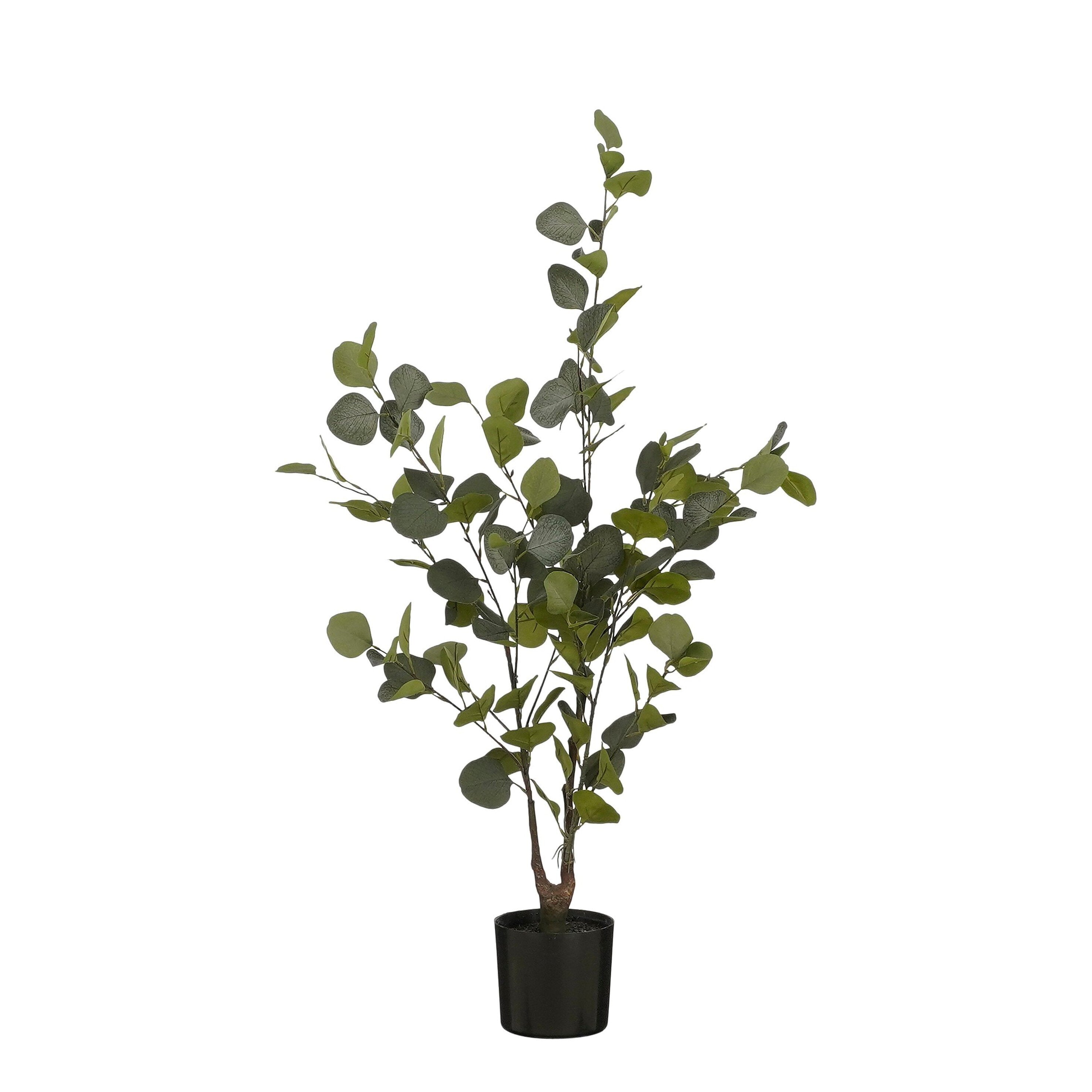Eucalyptus Tree In Pot Green - H120Xd55Cm