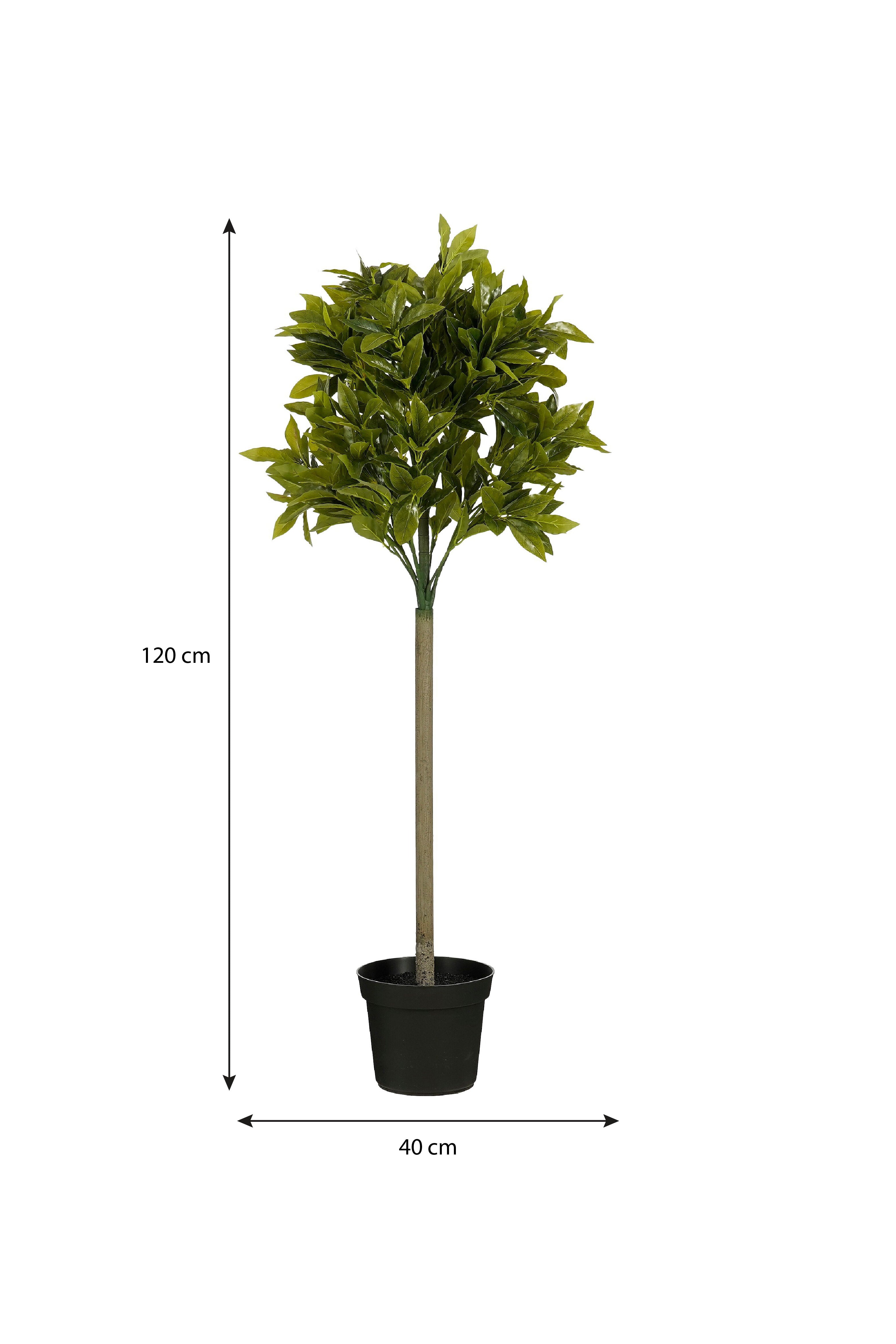 Laurel Tree Green Waterproof & Uv Resistant - H120Xd40Cm