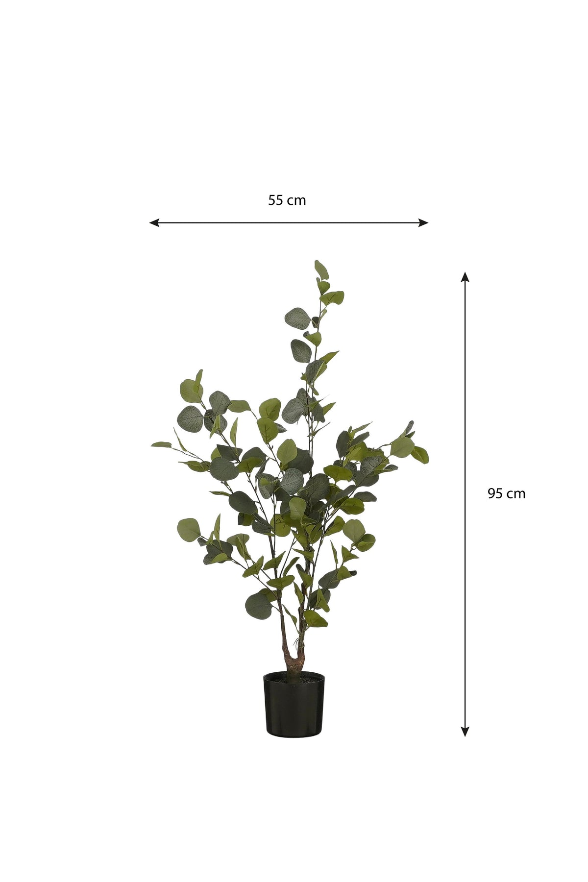 Eucalyptus Tree In Pot Green - H120Xd55Cm