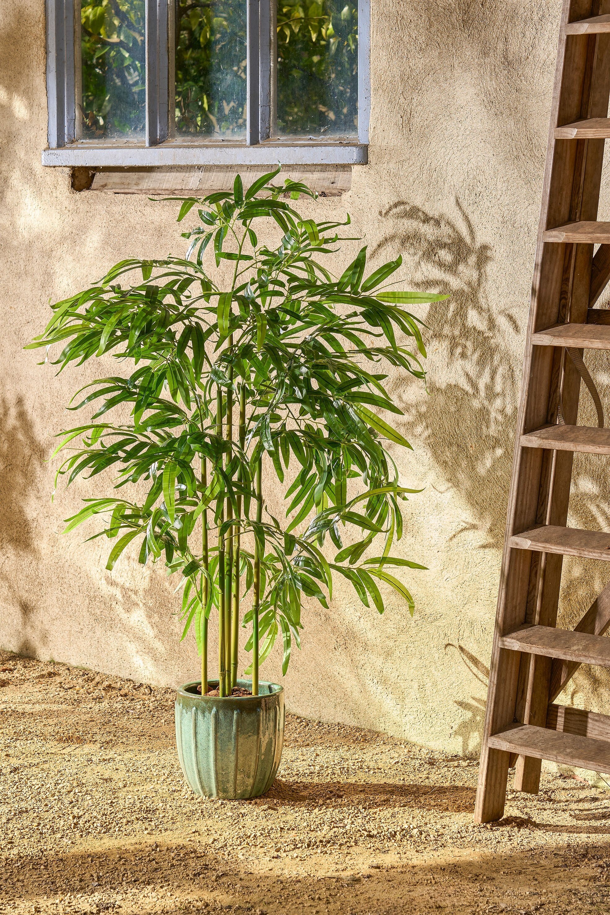Bamboo In Pot Green Waterproof & Uv Resistant - H150Xd60Cm