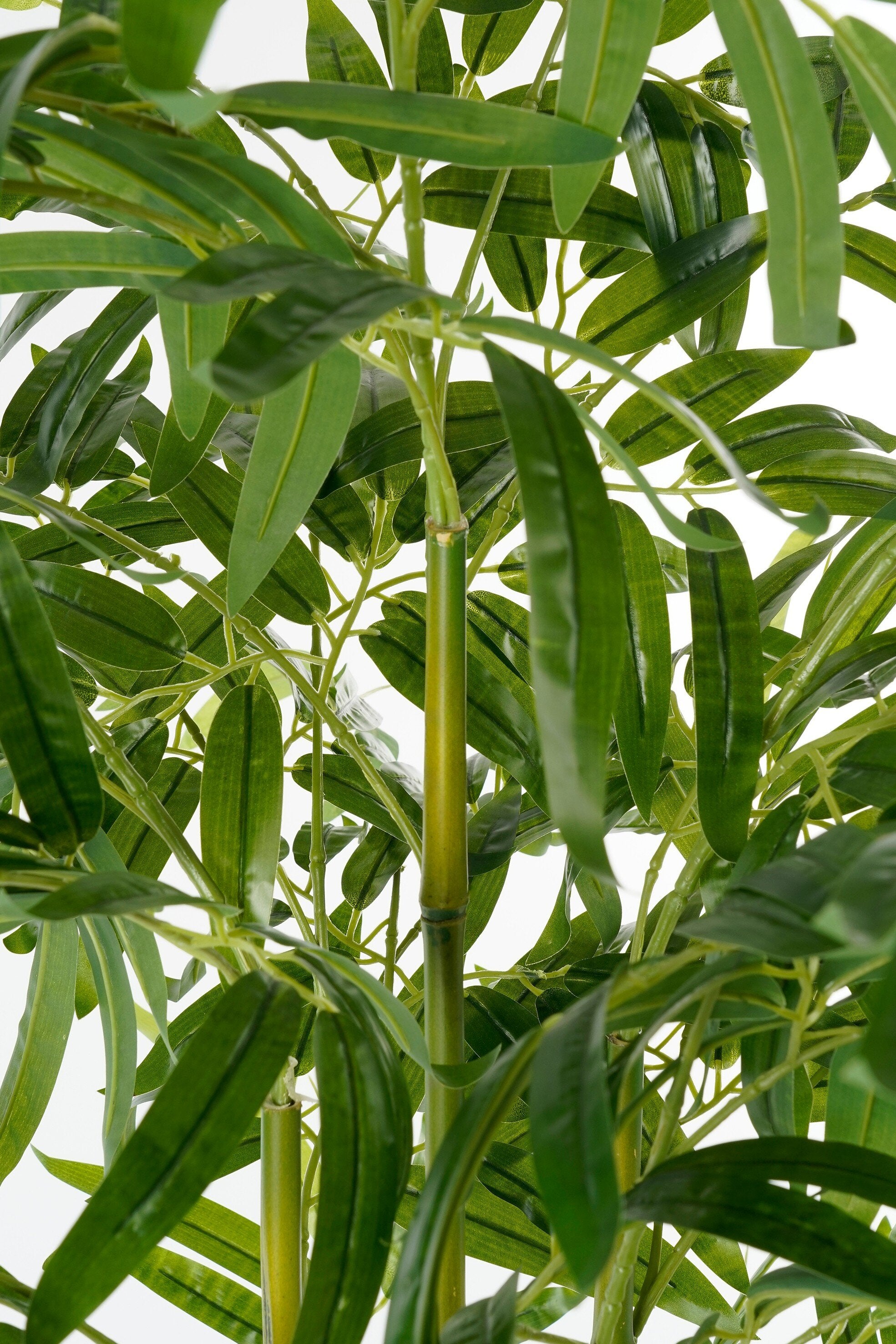Bamboo In Pot Green Waterproof & Uv Resistant - H150Xd60Cm