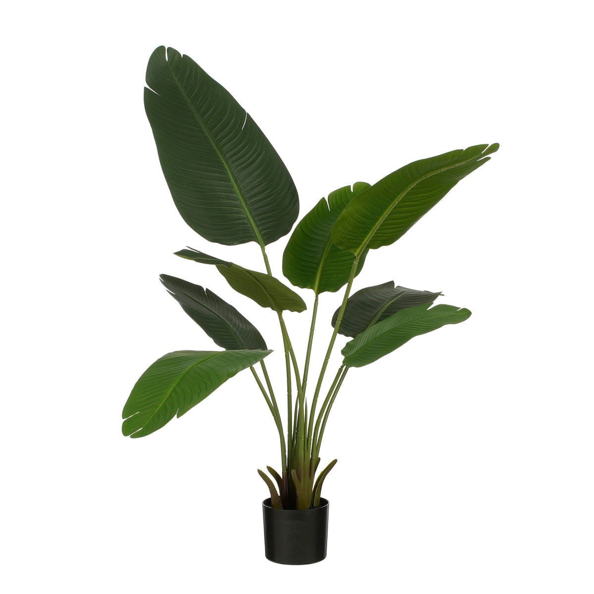 Banana Tree In Pot Green - H120Xd30Cm