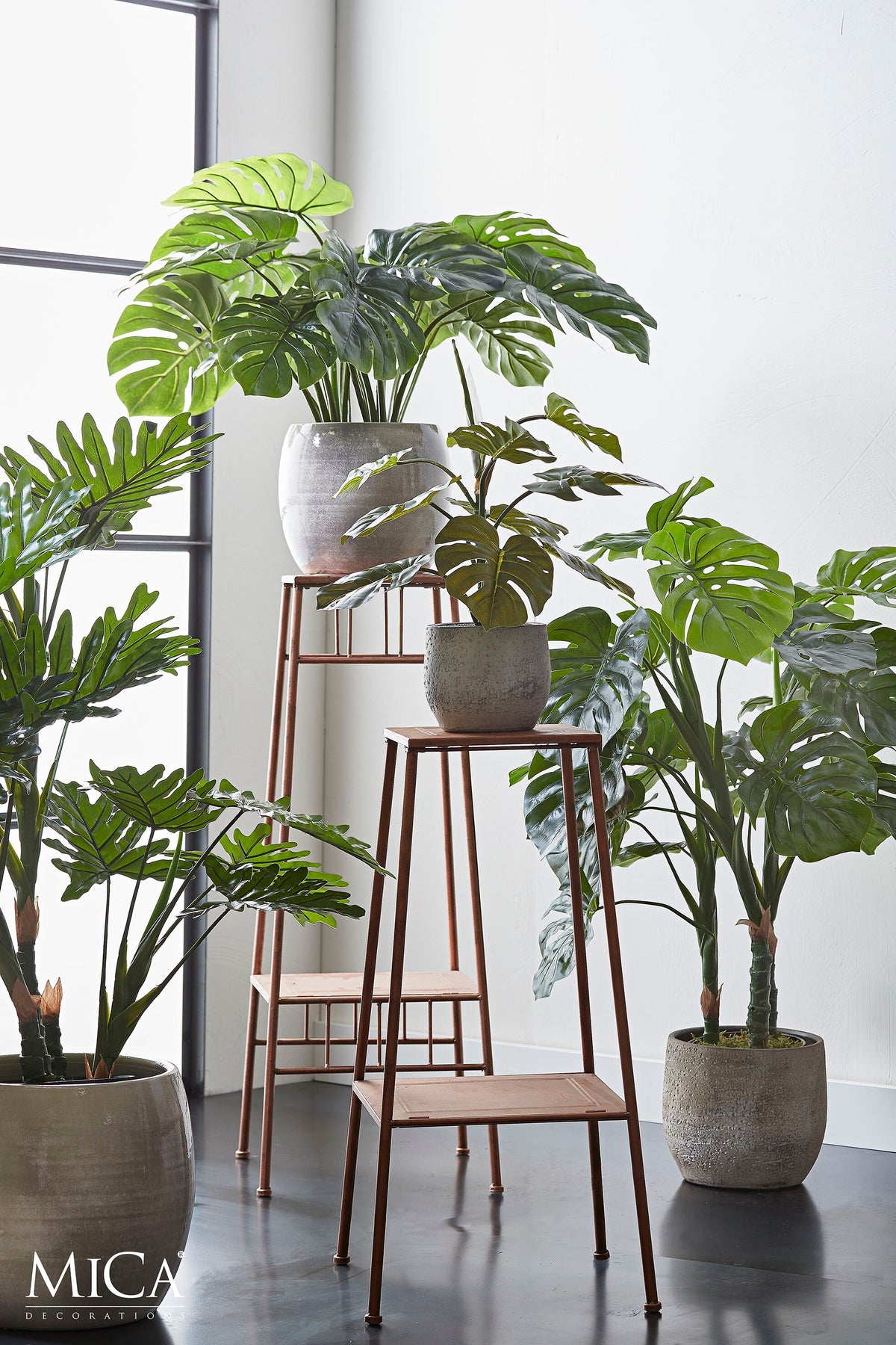 Monstera In Pot Green - H100Xd75Cm