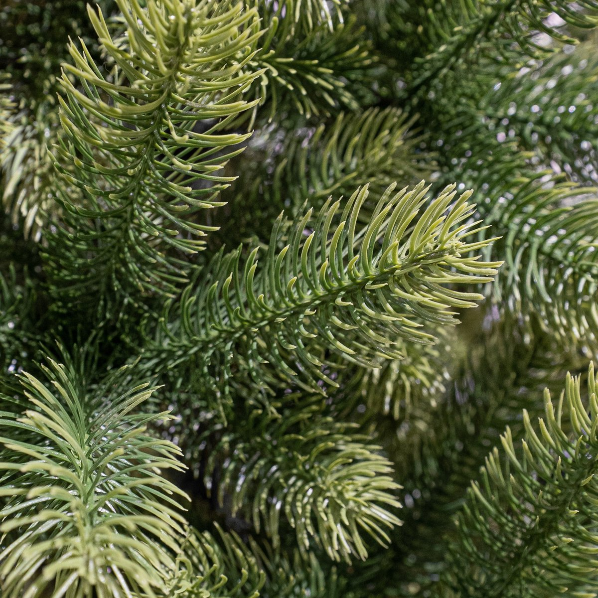 Nagoya Artificial Christmas Tree - H180 X Ø108 Cm - Green