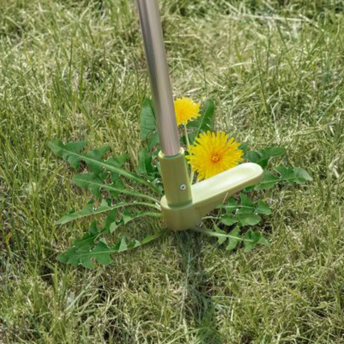 Weed Remover 100Cm